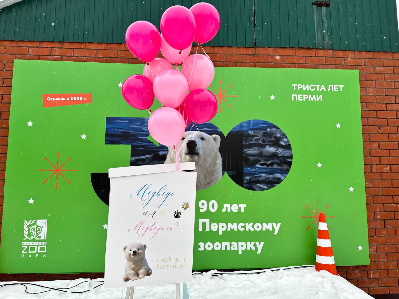 Фото: В курсе.ру