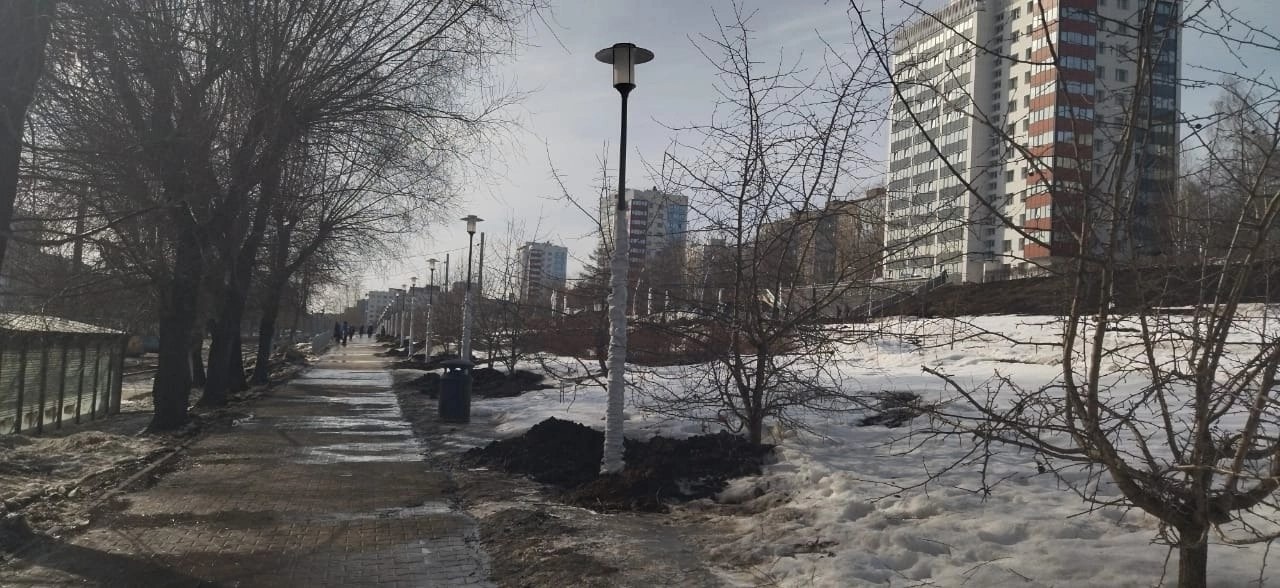 Фото: В курсе.ру