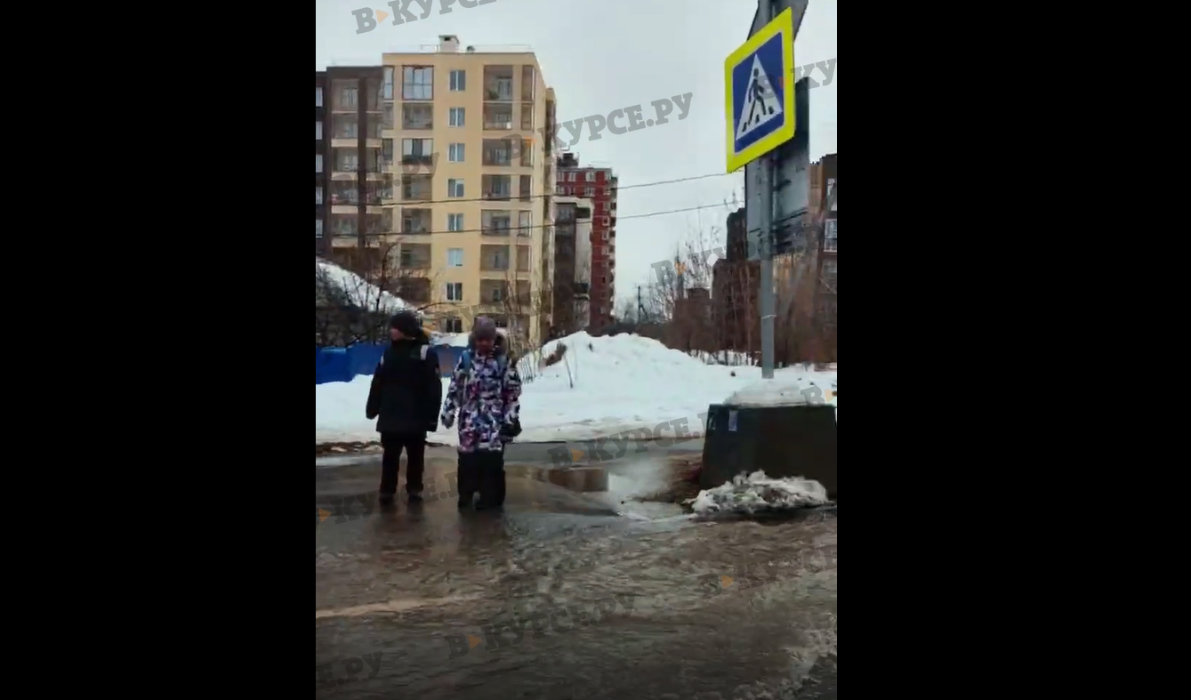 Фото: В курсе.ру