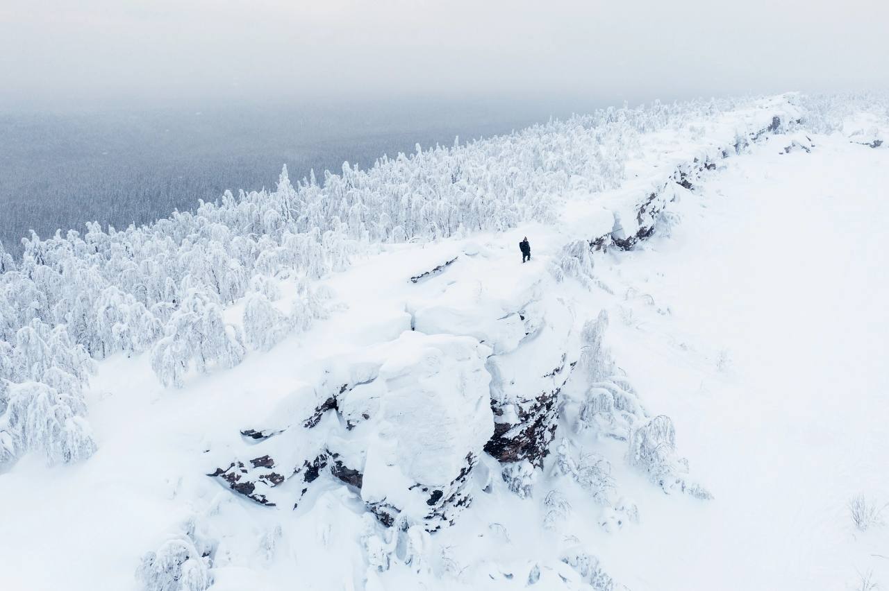Фото: Алексей Шабанов
