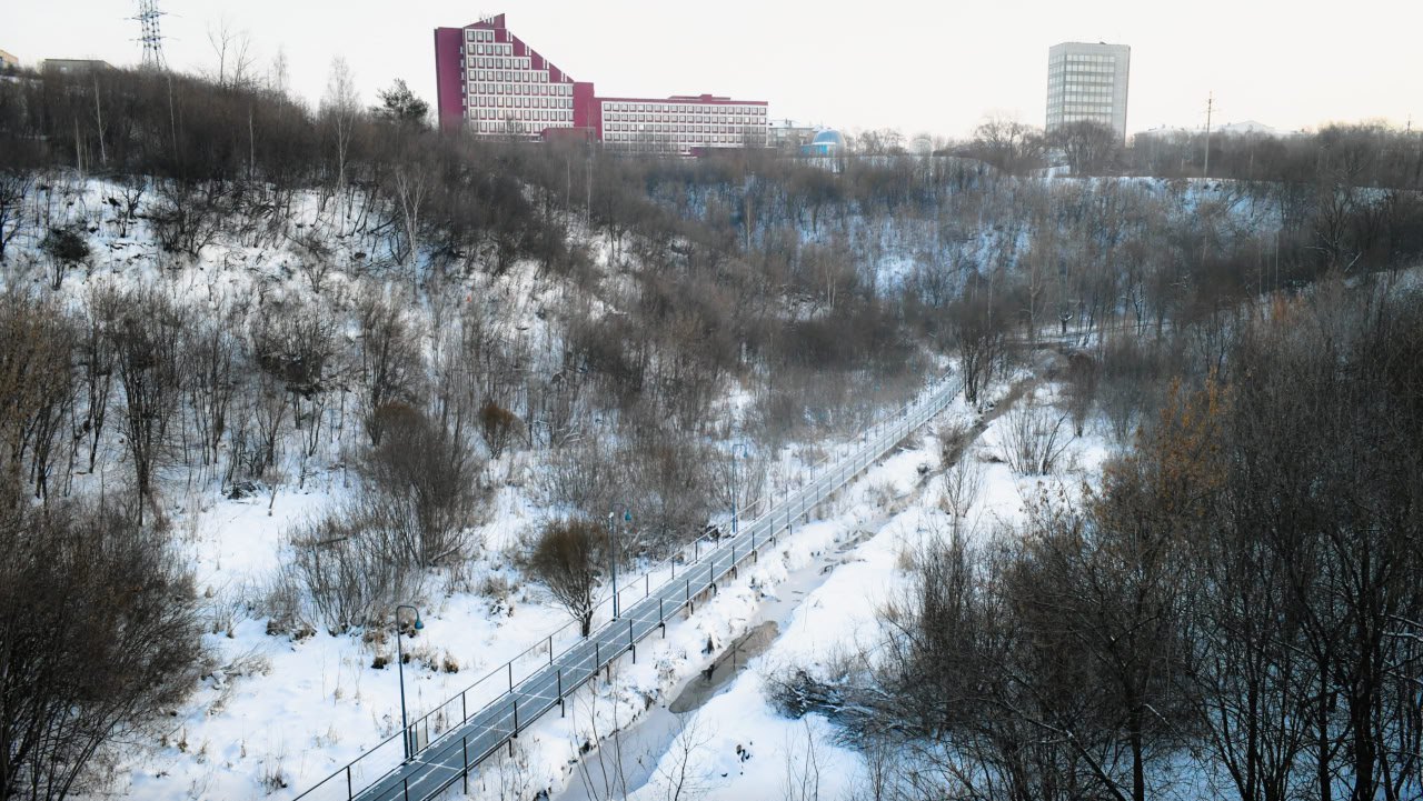 Фото: Глава Перми/ТГ