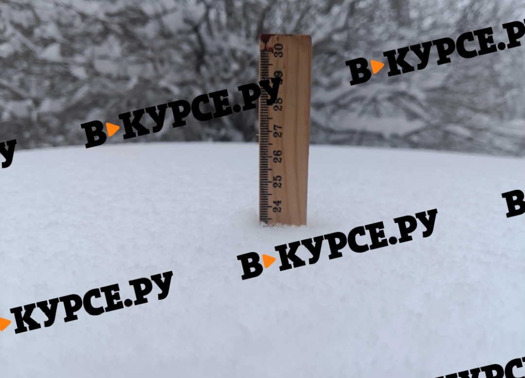 Фото: В курсе.ру