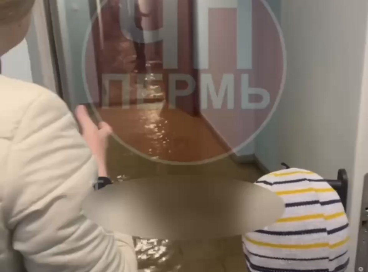 Фото: ЧП Пермь \ тг