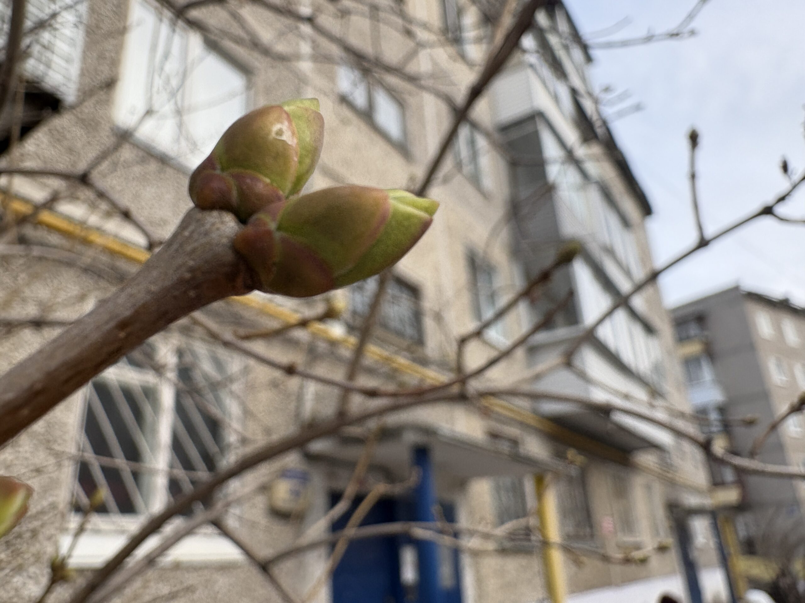 Фото: Ольга Гилева