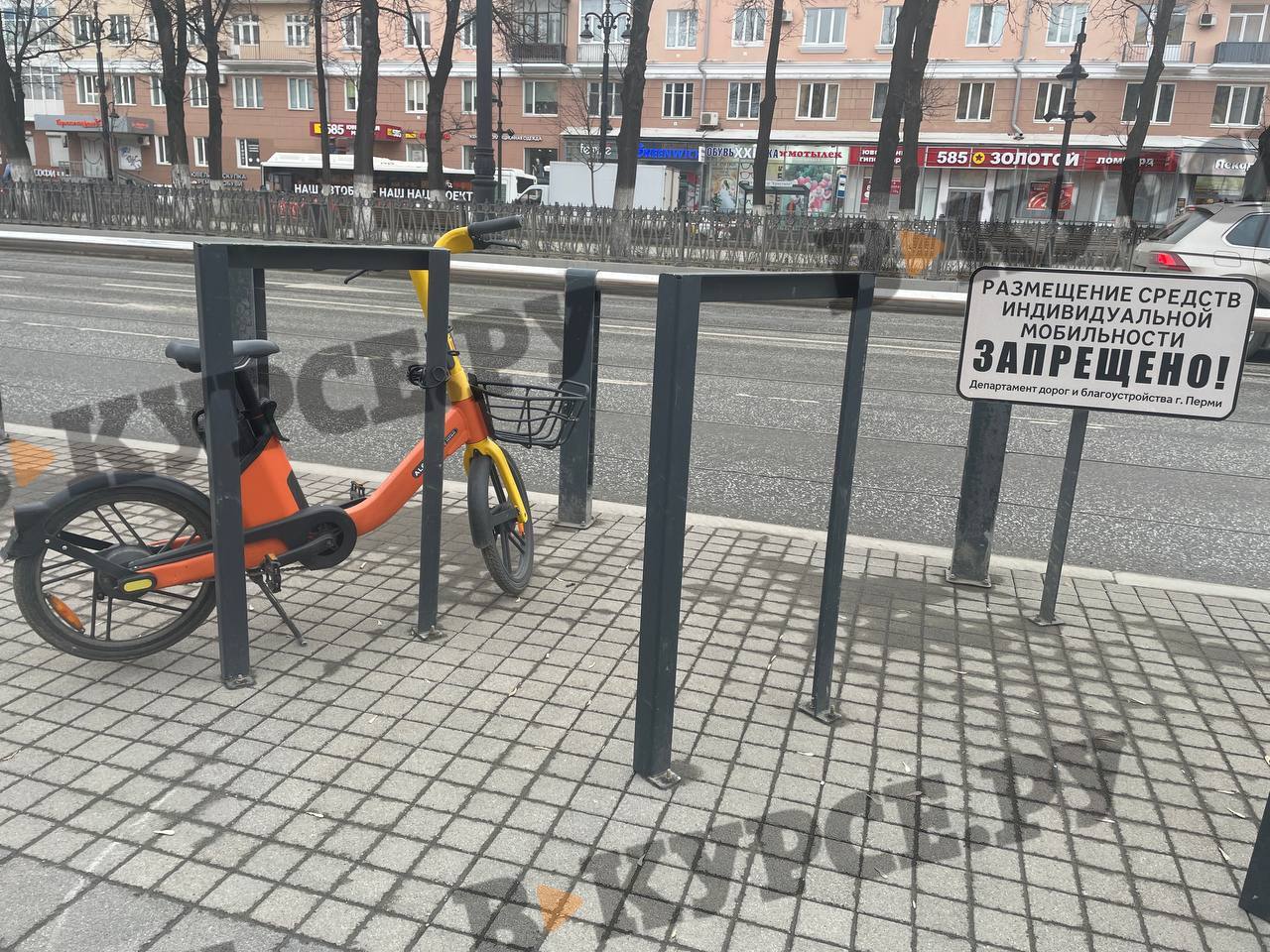 Фото: В курсе.ру