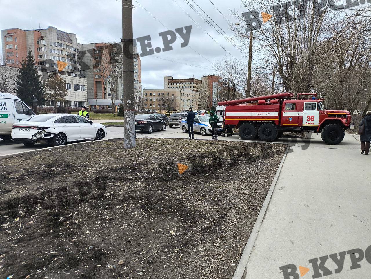 Фото: В курсе.ру