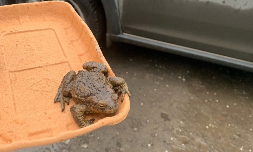 Фото: Надежда Баглей/VK