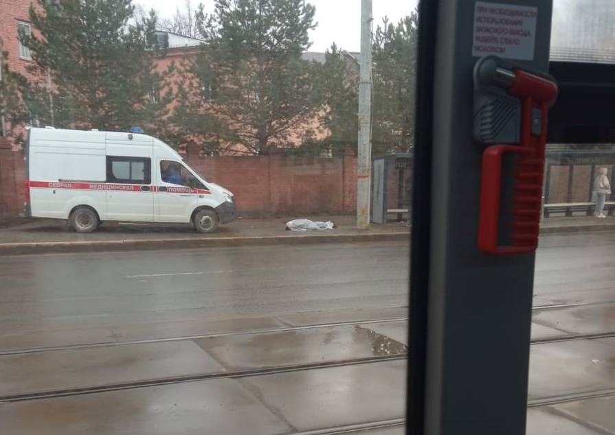 Фото: Алена Калашникова
