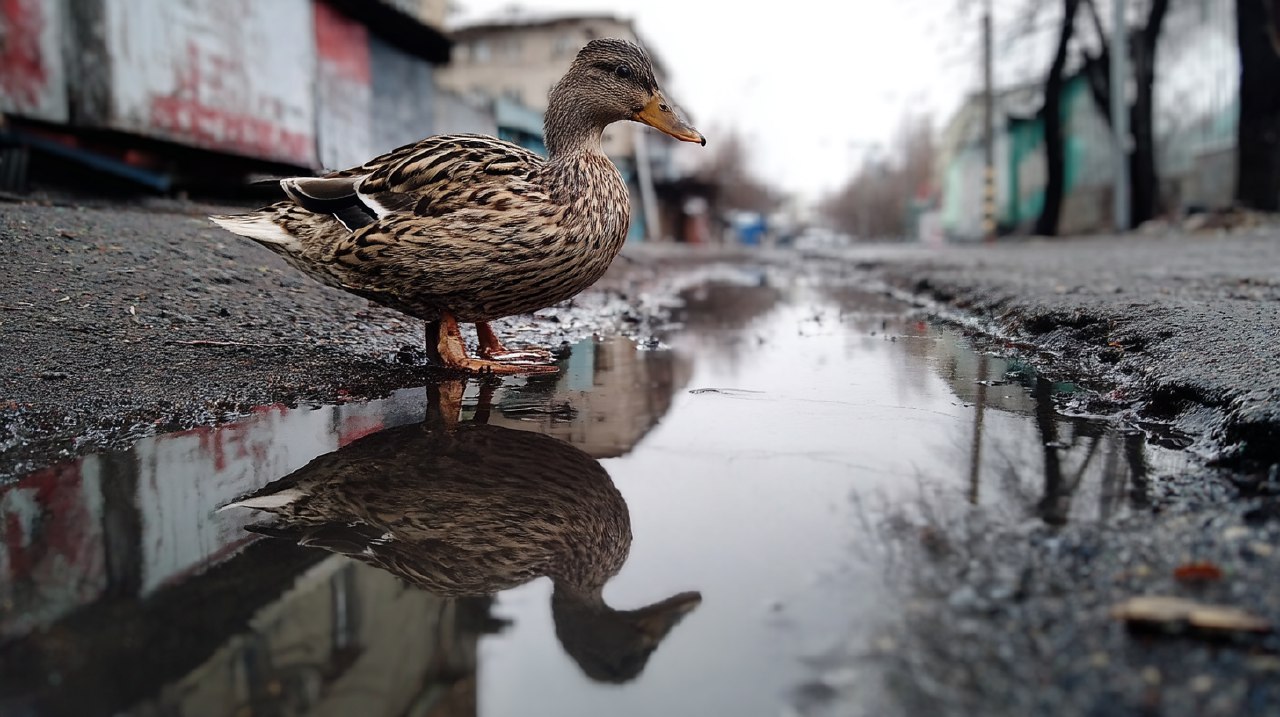 Фото: Сгенерировано нейросетью