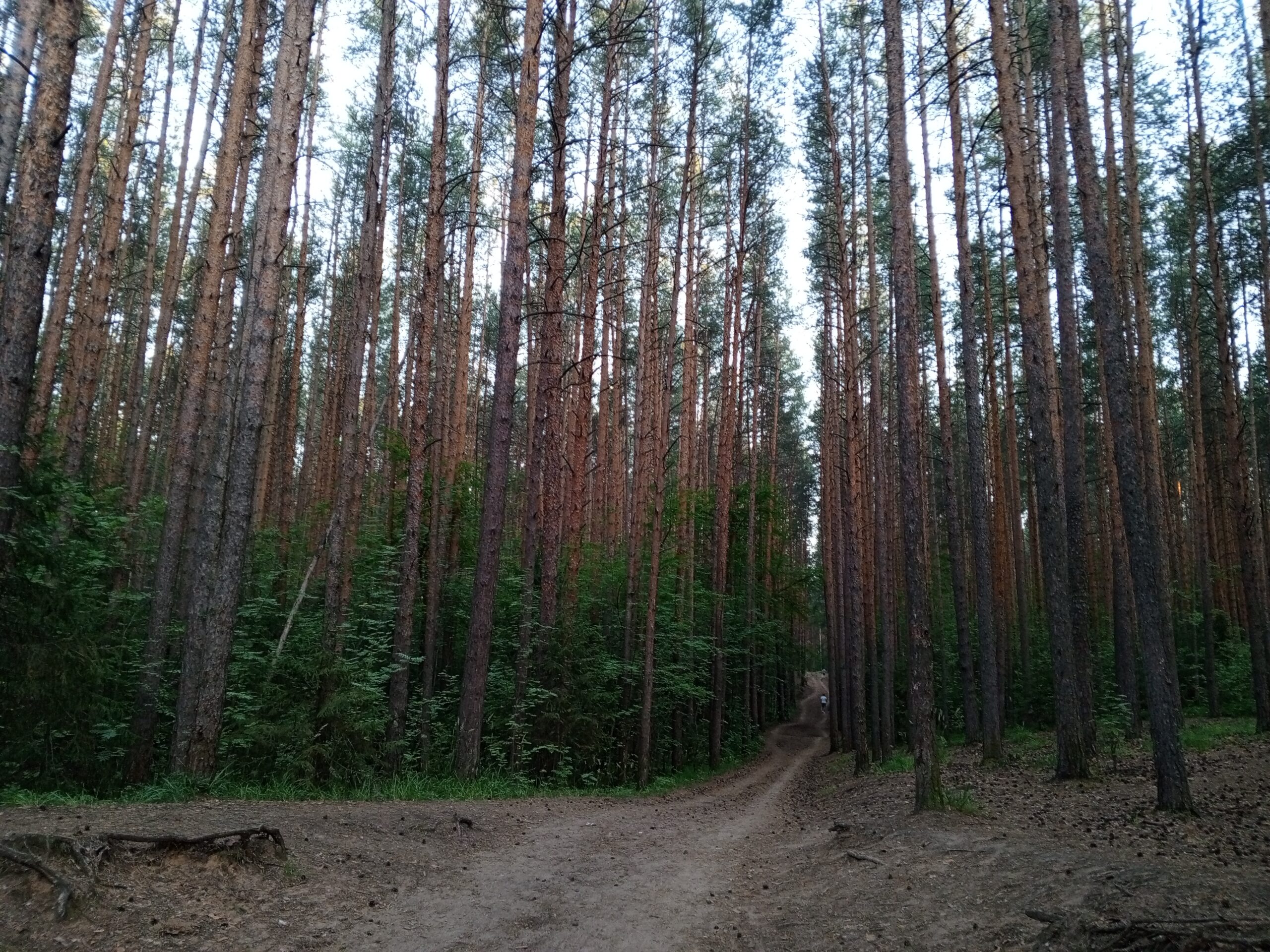 Фото: В курсе.ру