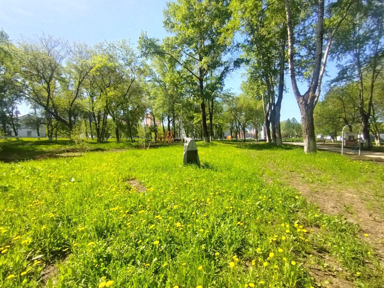 Фото: В курсе.ру