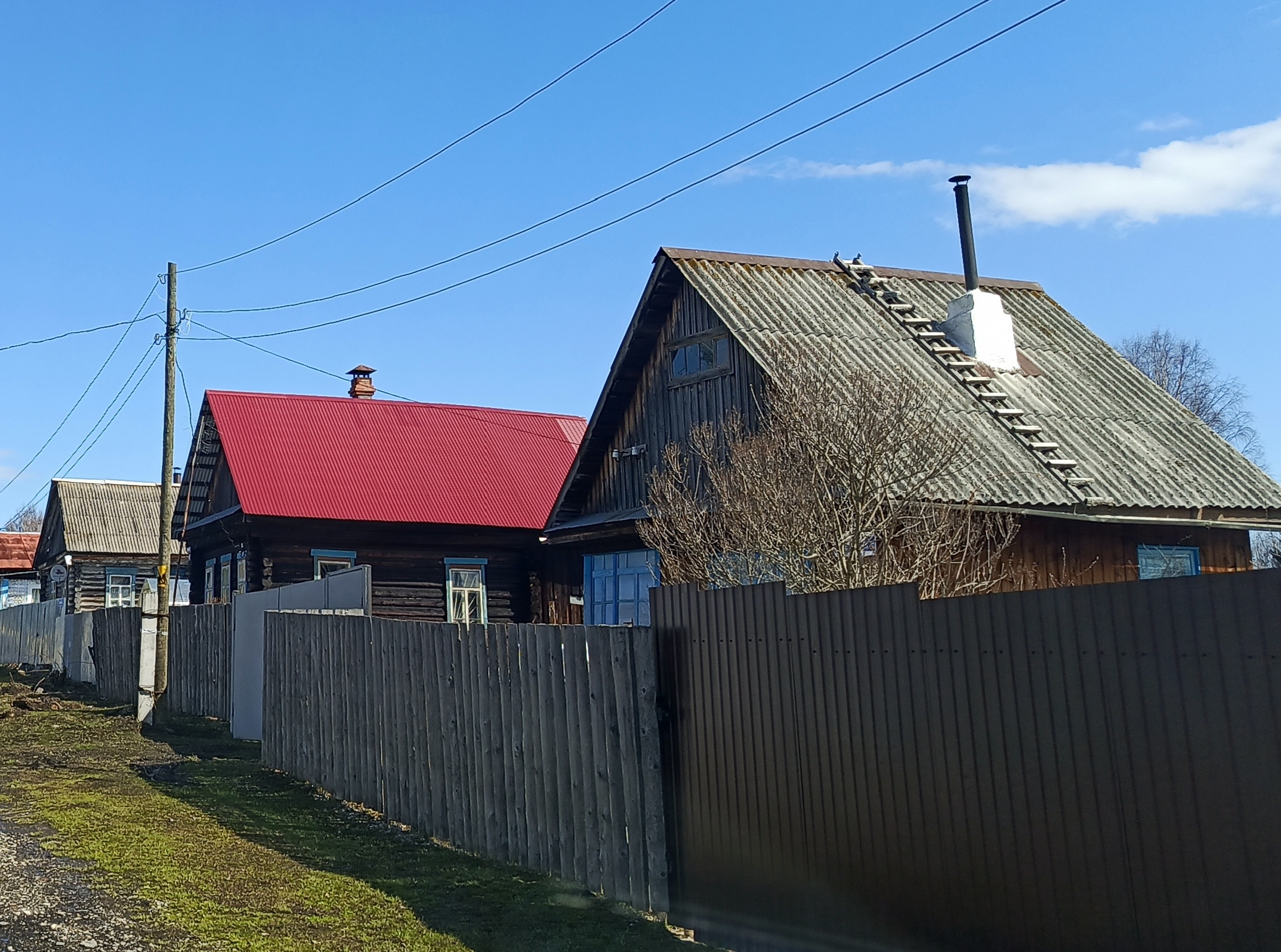 Фото: В курсе.ру