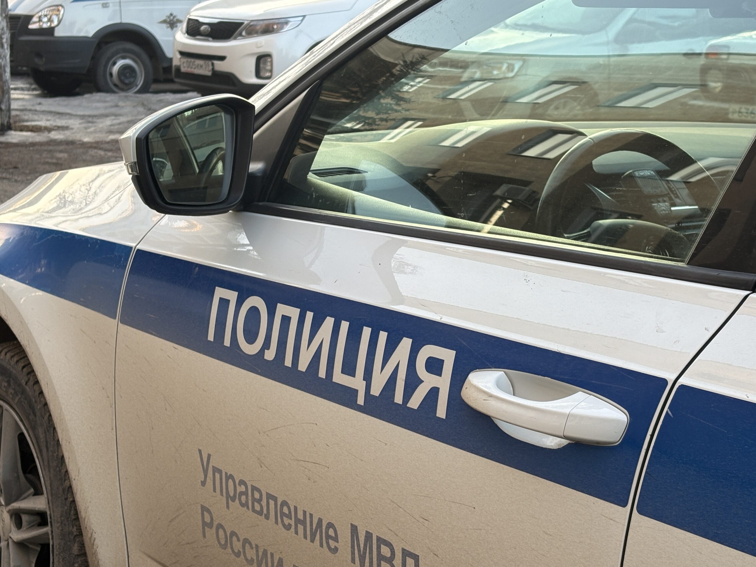 Фото: В курсе.ру