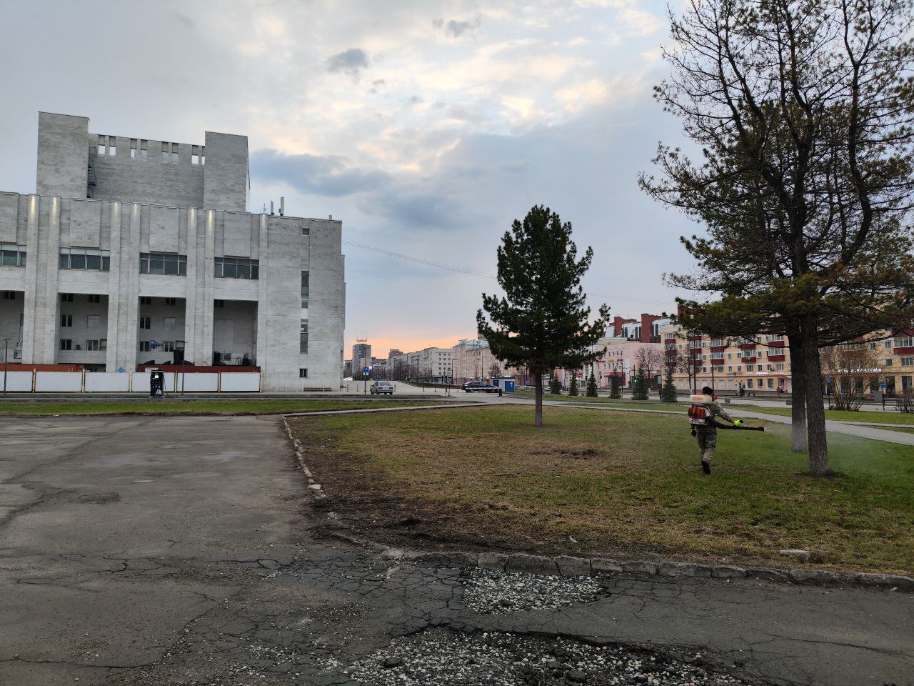 Фото: МКУ «ПермГорЛес»