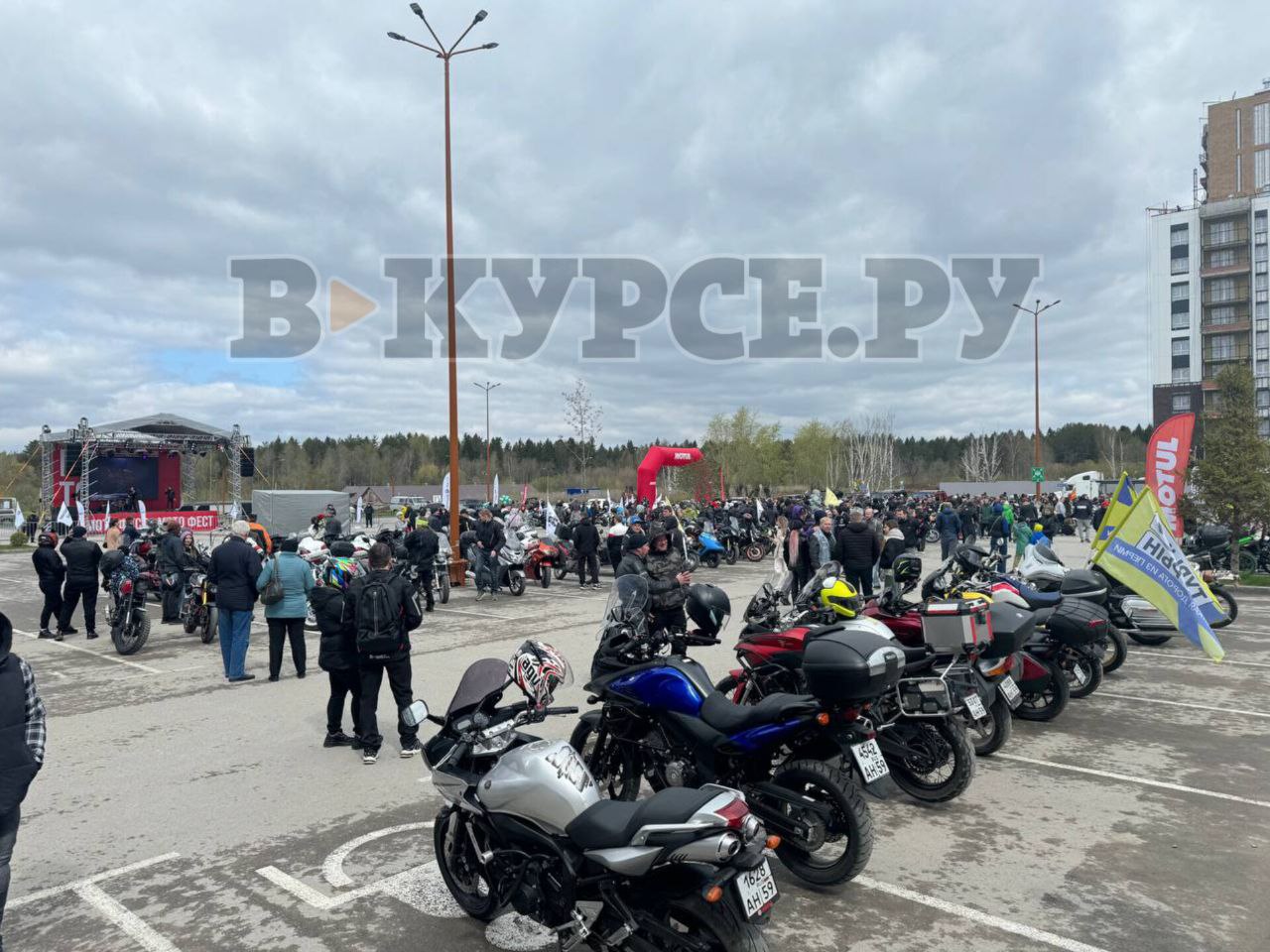 Фото: В курсе.ру