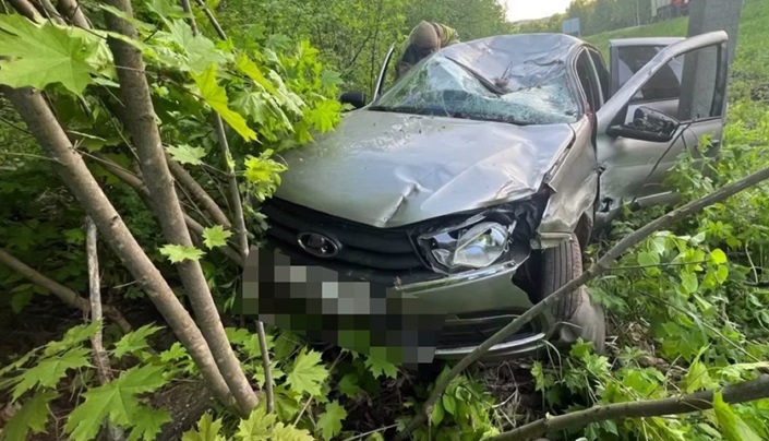 Фото: Госавтоинспекция Прикамья/ТГ