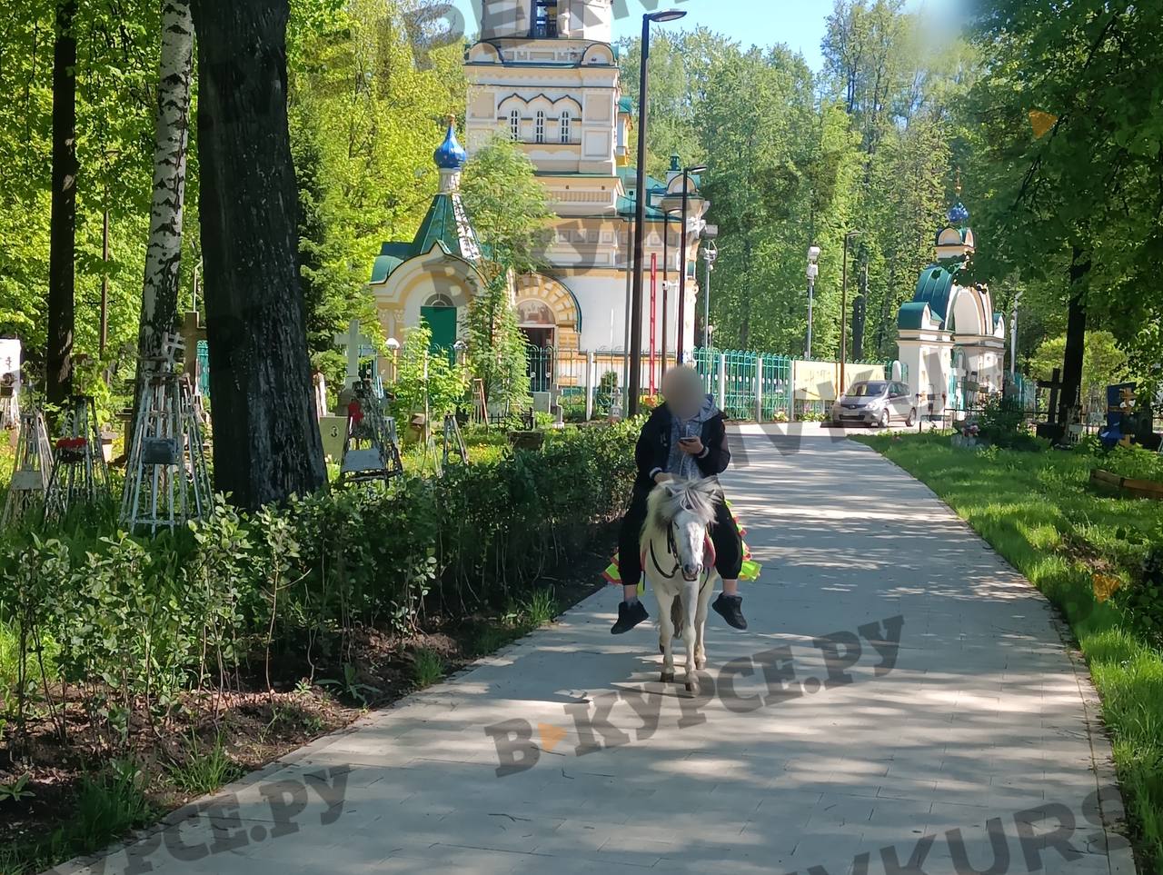 Фото: В курсе.ру