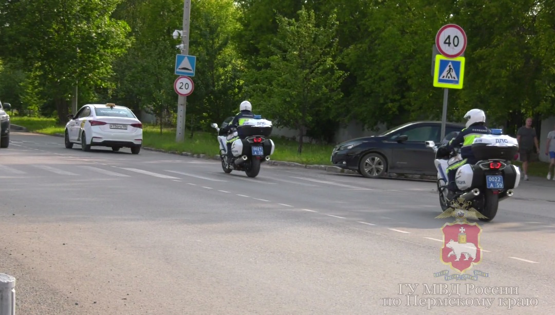 Фото: Полиция Прикамья/ТГ