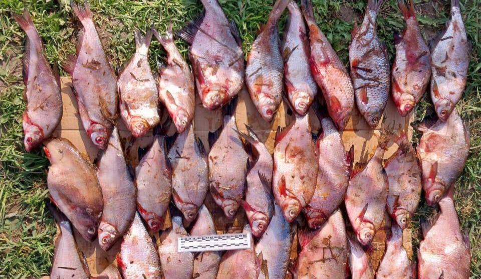 Фото: пресс-служба транспортной полиции Перми