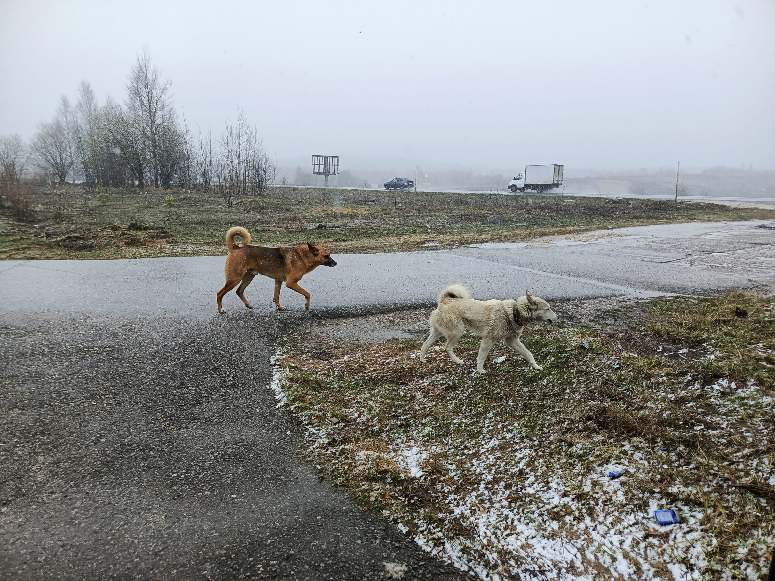 Фото: v-kurse.ru