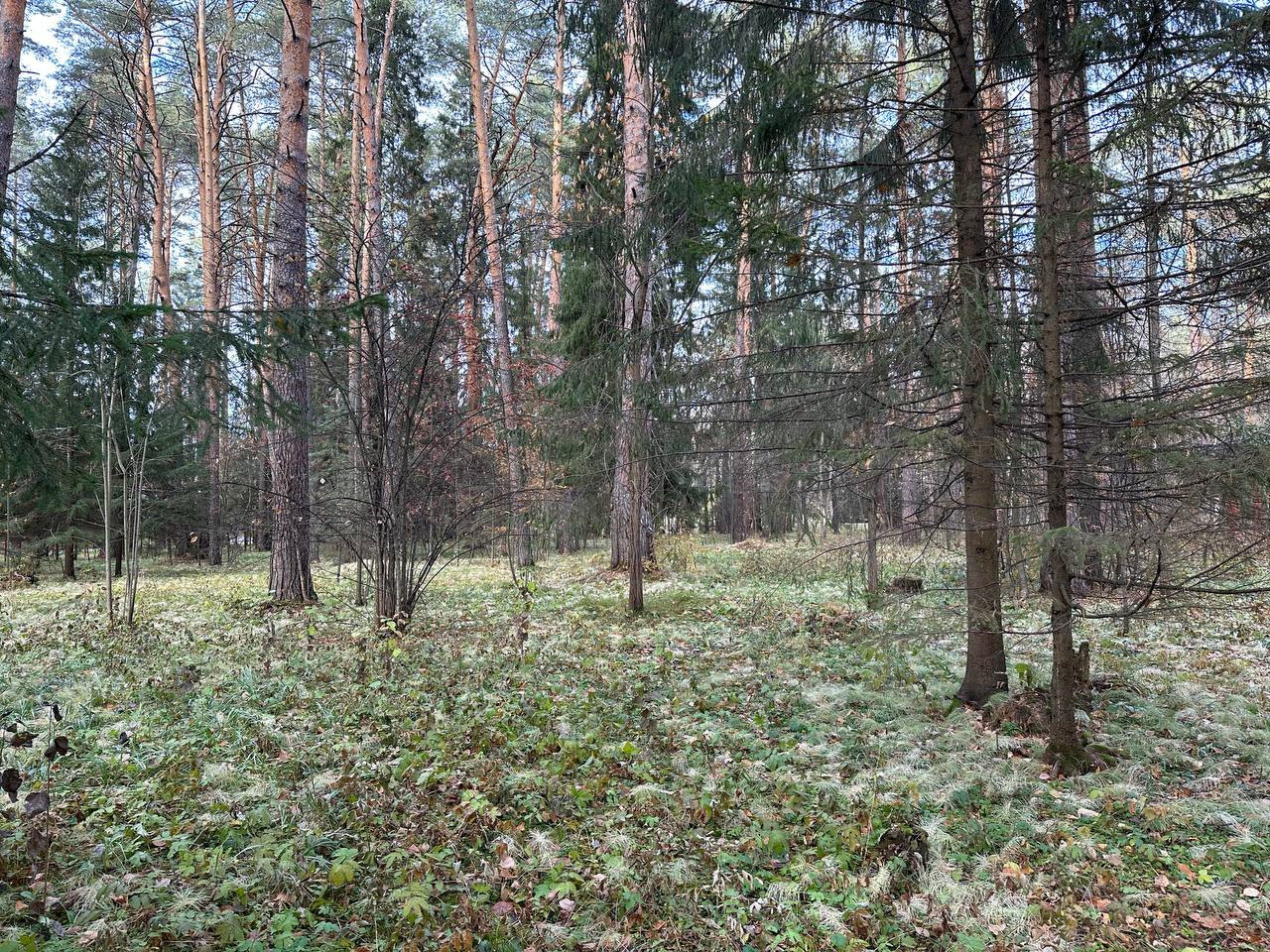 Фото: В курсе.ру