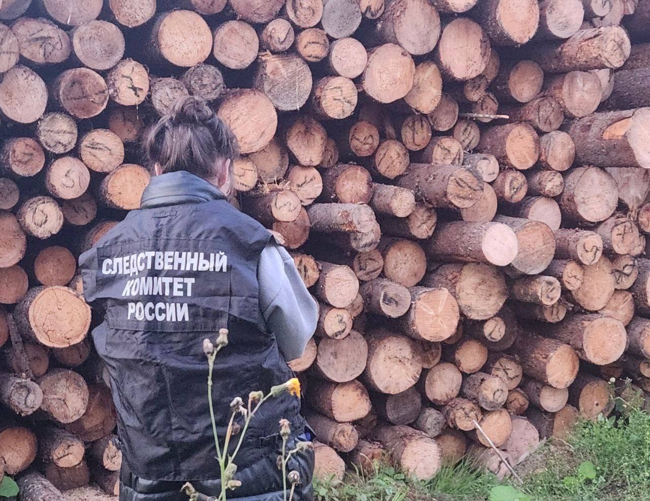 Фото: СУ СК России по Пермскому краю