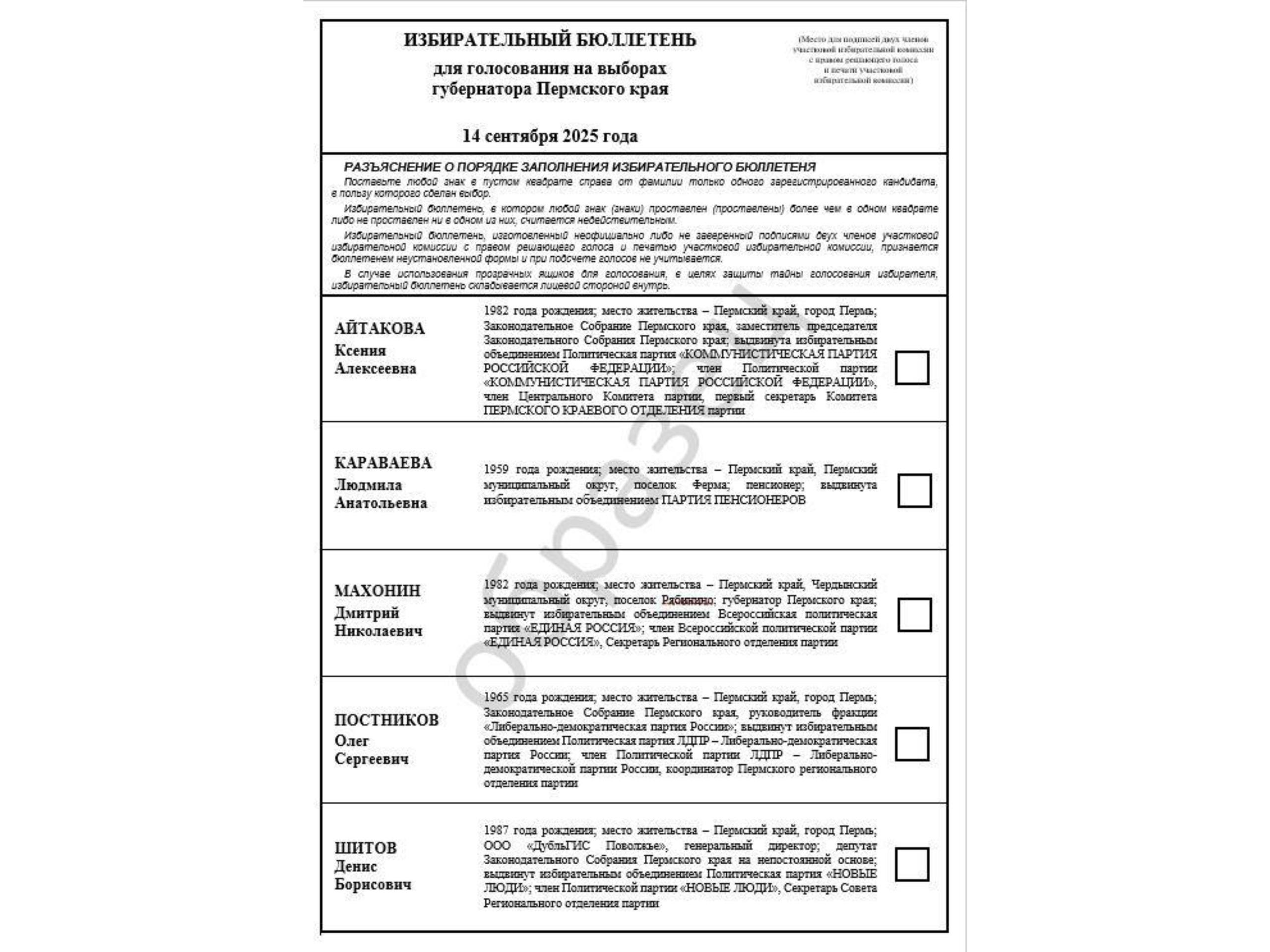 Фото: Избирательная комиссия Пермского края / ТГ