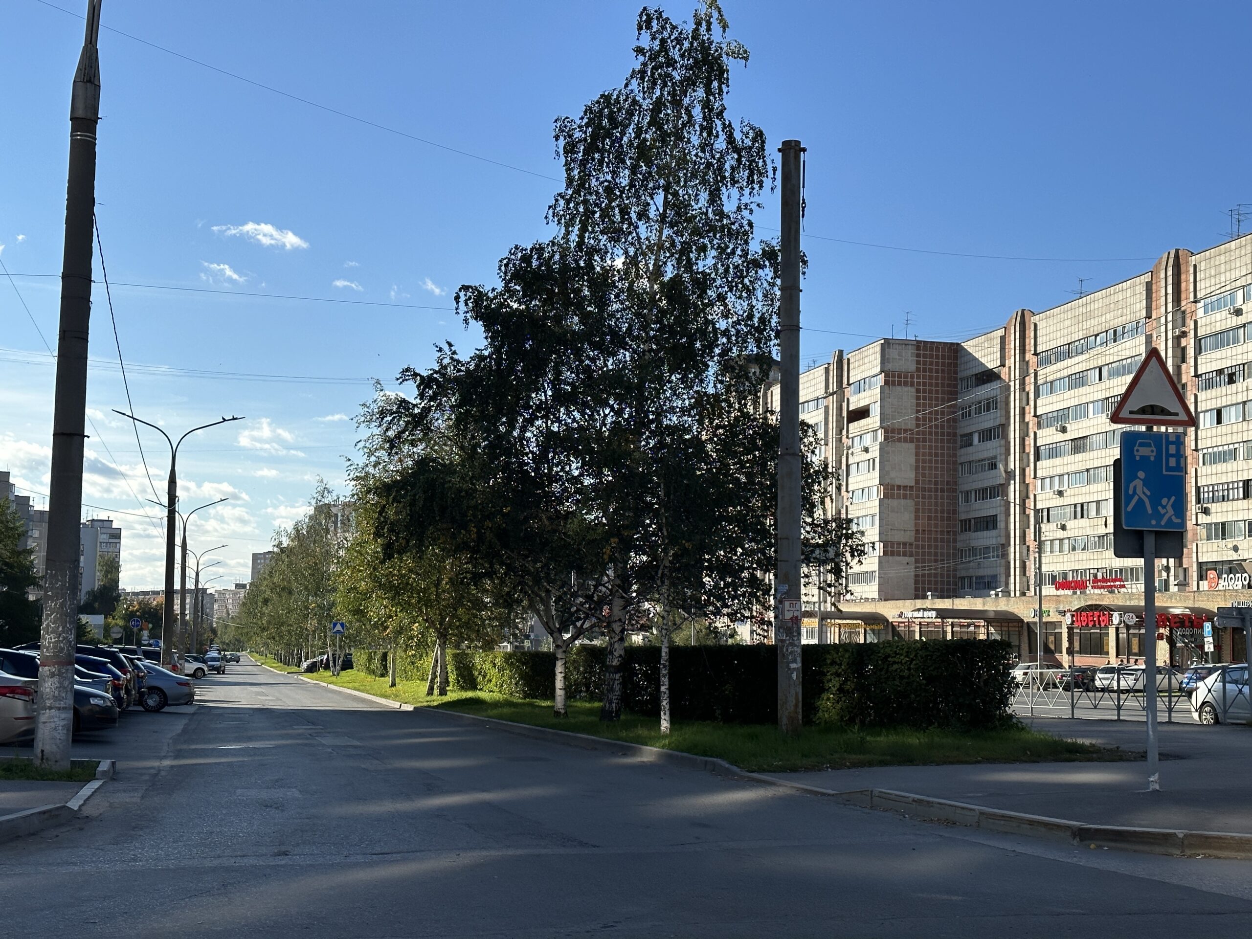 Фото: Катерина Заякина
