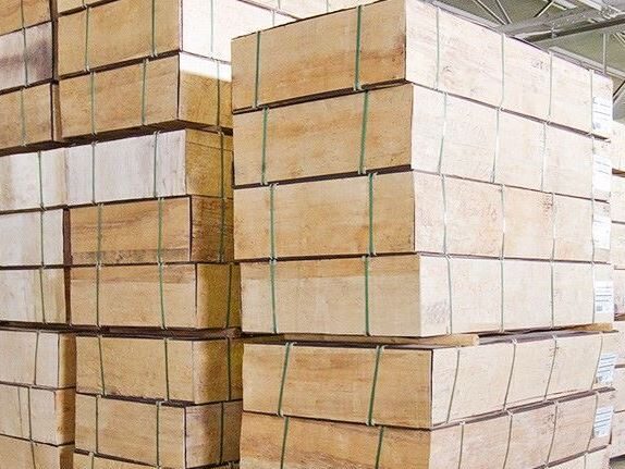 Фото: Управление Россельхознадзора по Кировской области, Удмуртской Республике и Пермскому краю