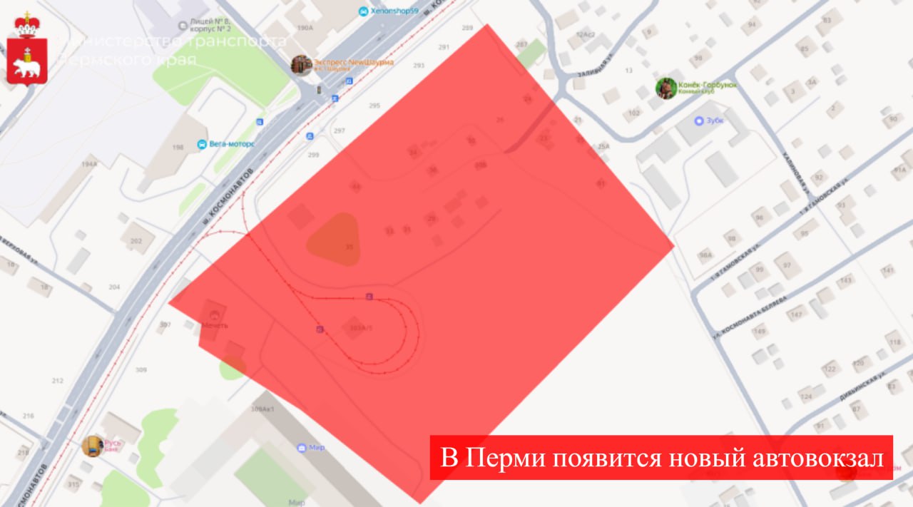 Фото: Минтранс Прикамья/ТГ