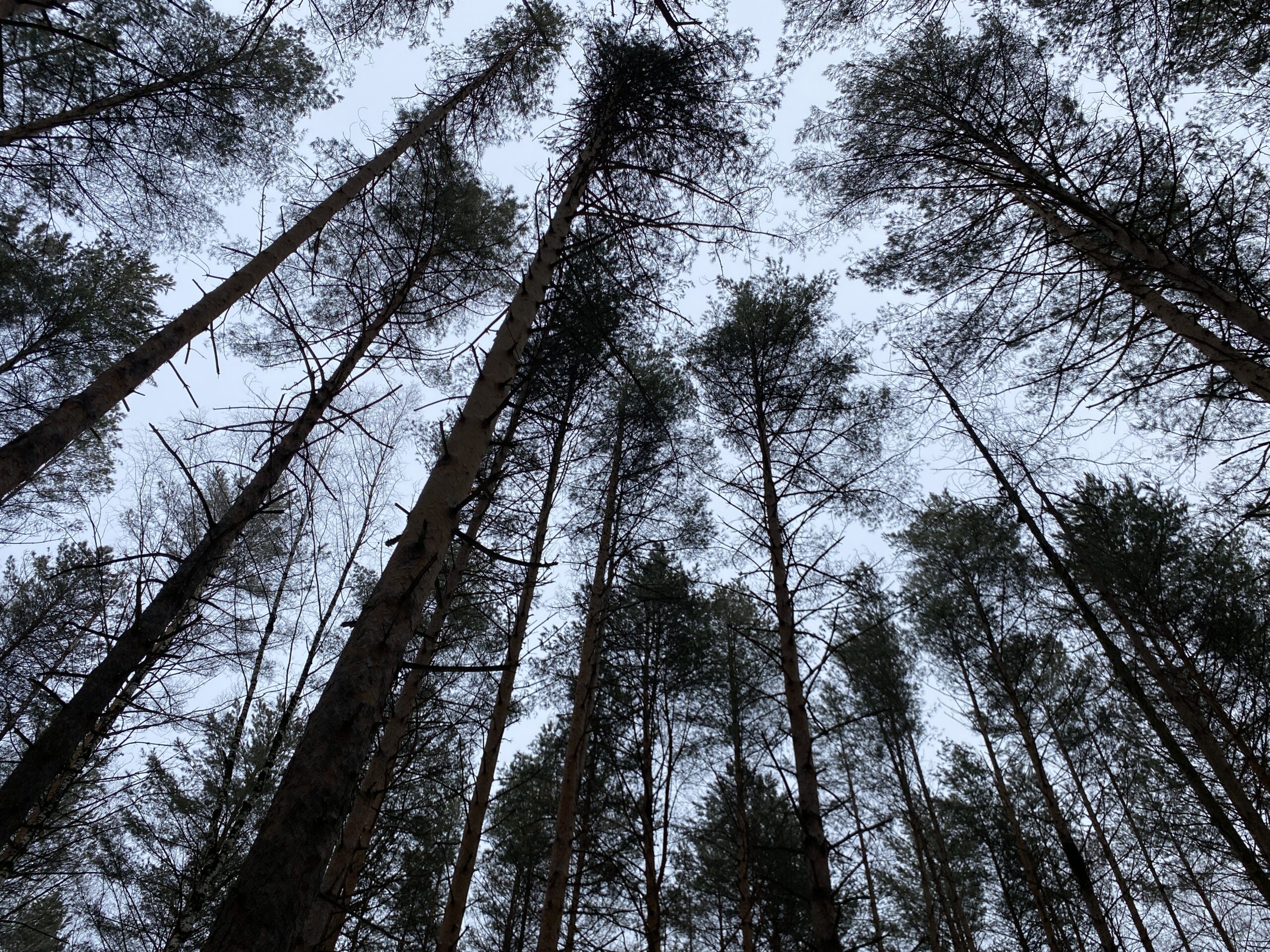 Фото: v-kurse.ru