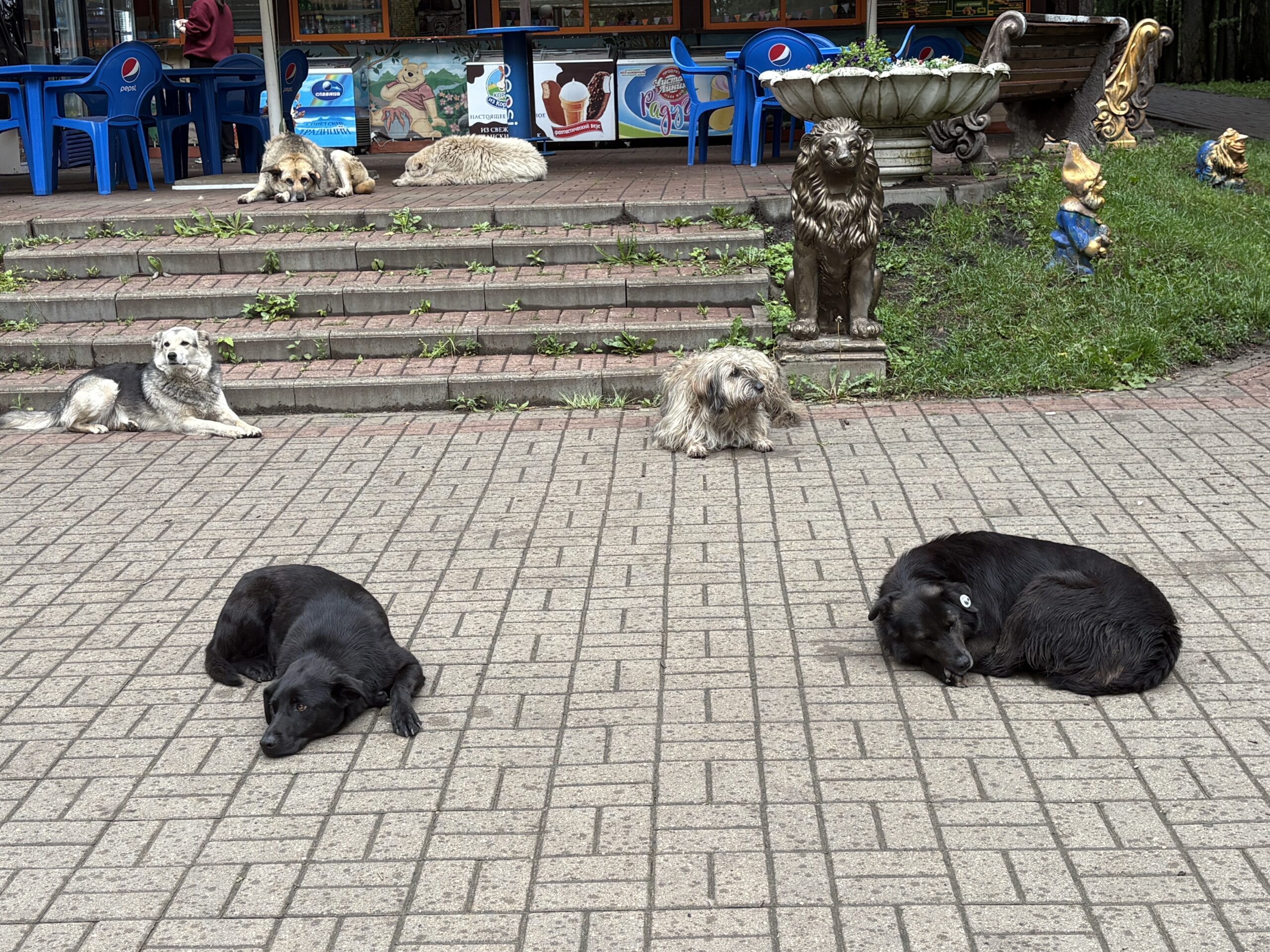 Фото: v-kurse.ru