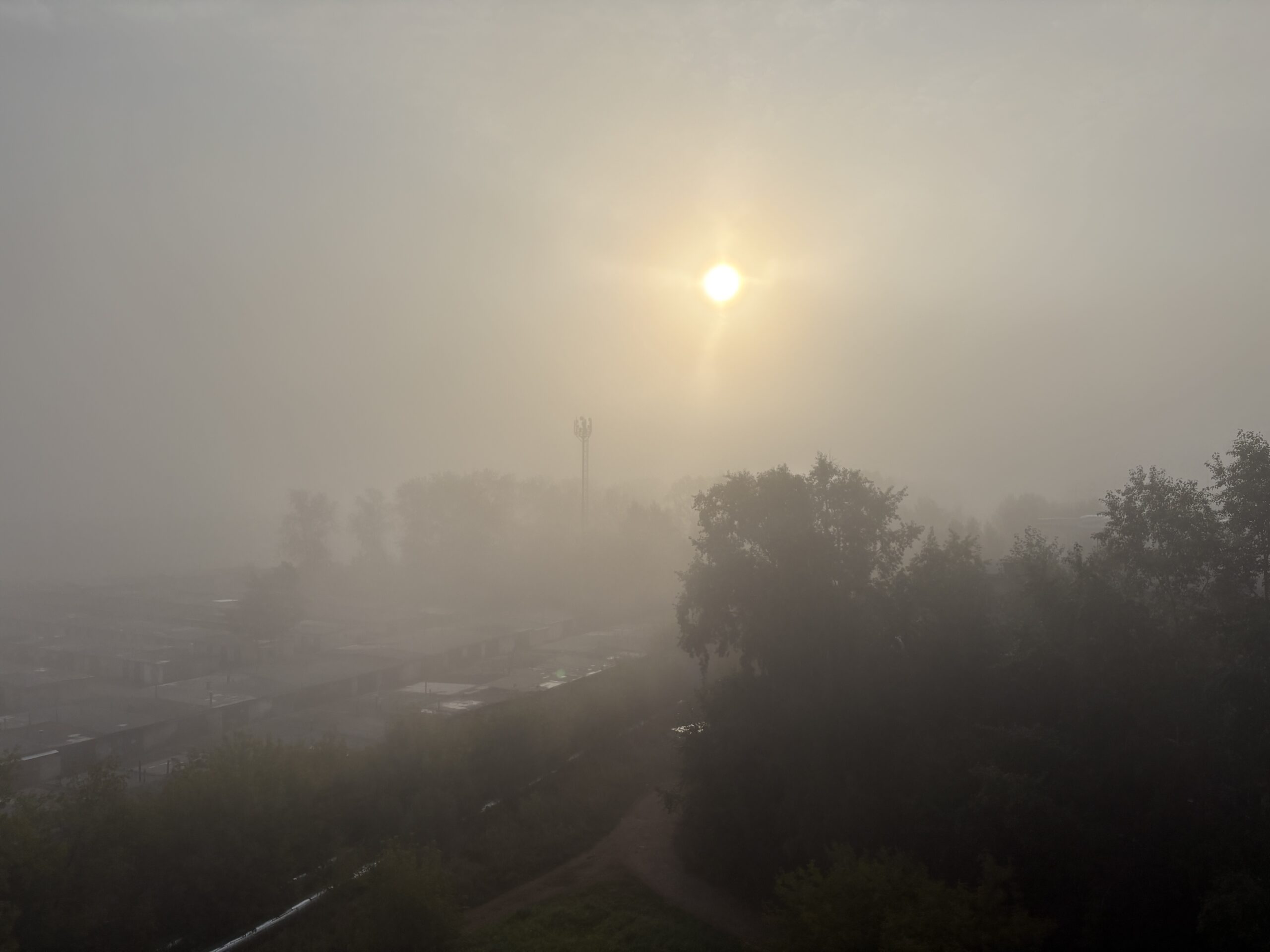 Фото: v-kurse.ru