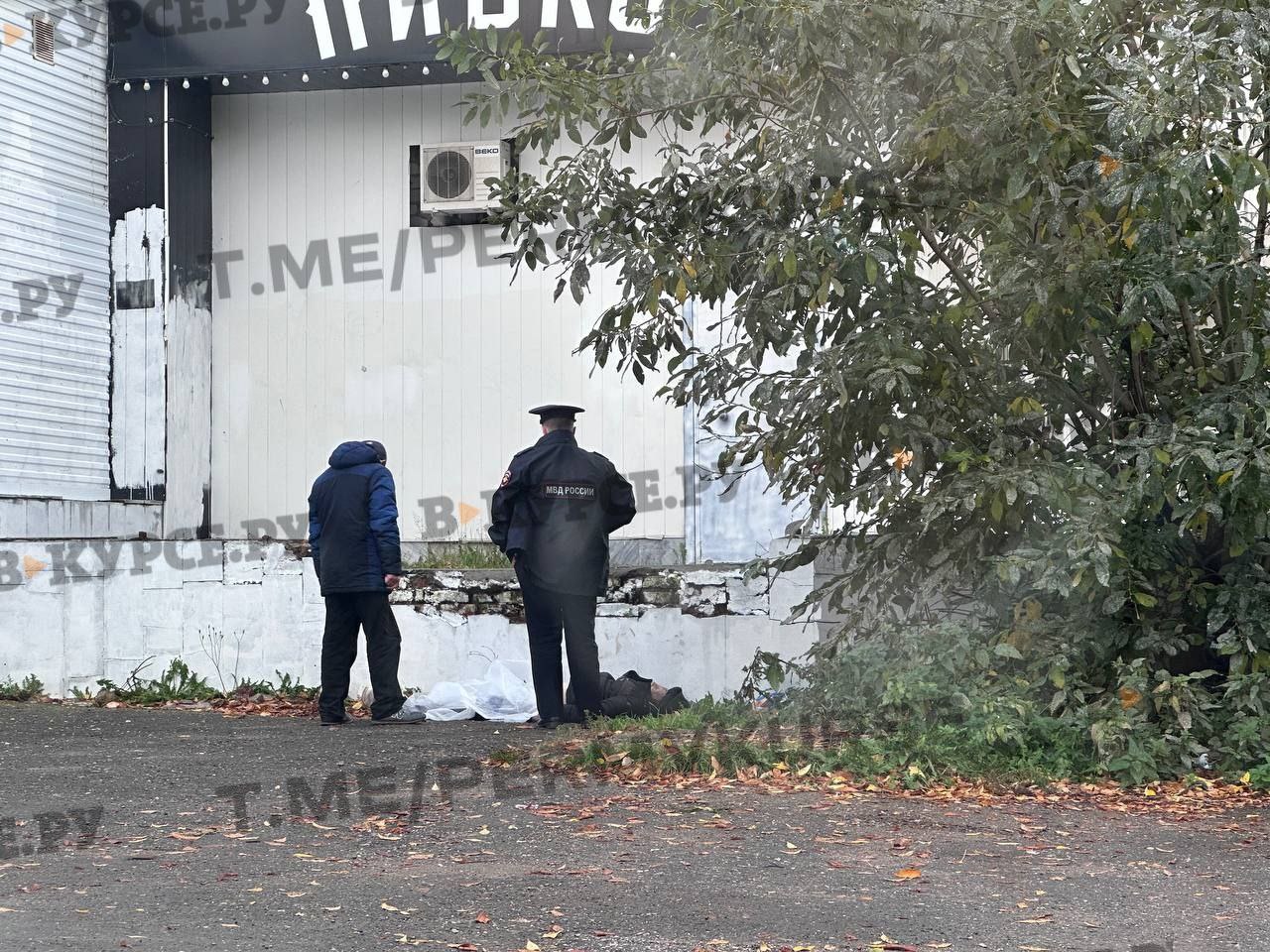Фото: В курсе.ру