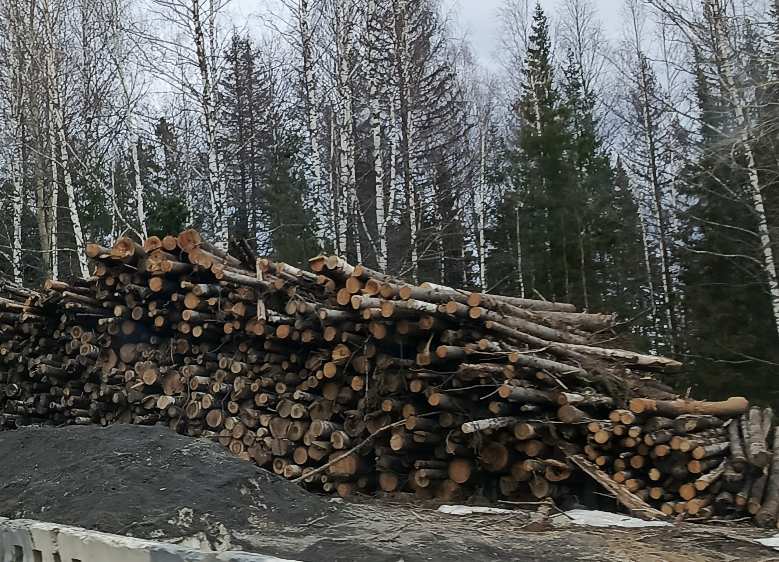 Фото: Ульяна Бажанова