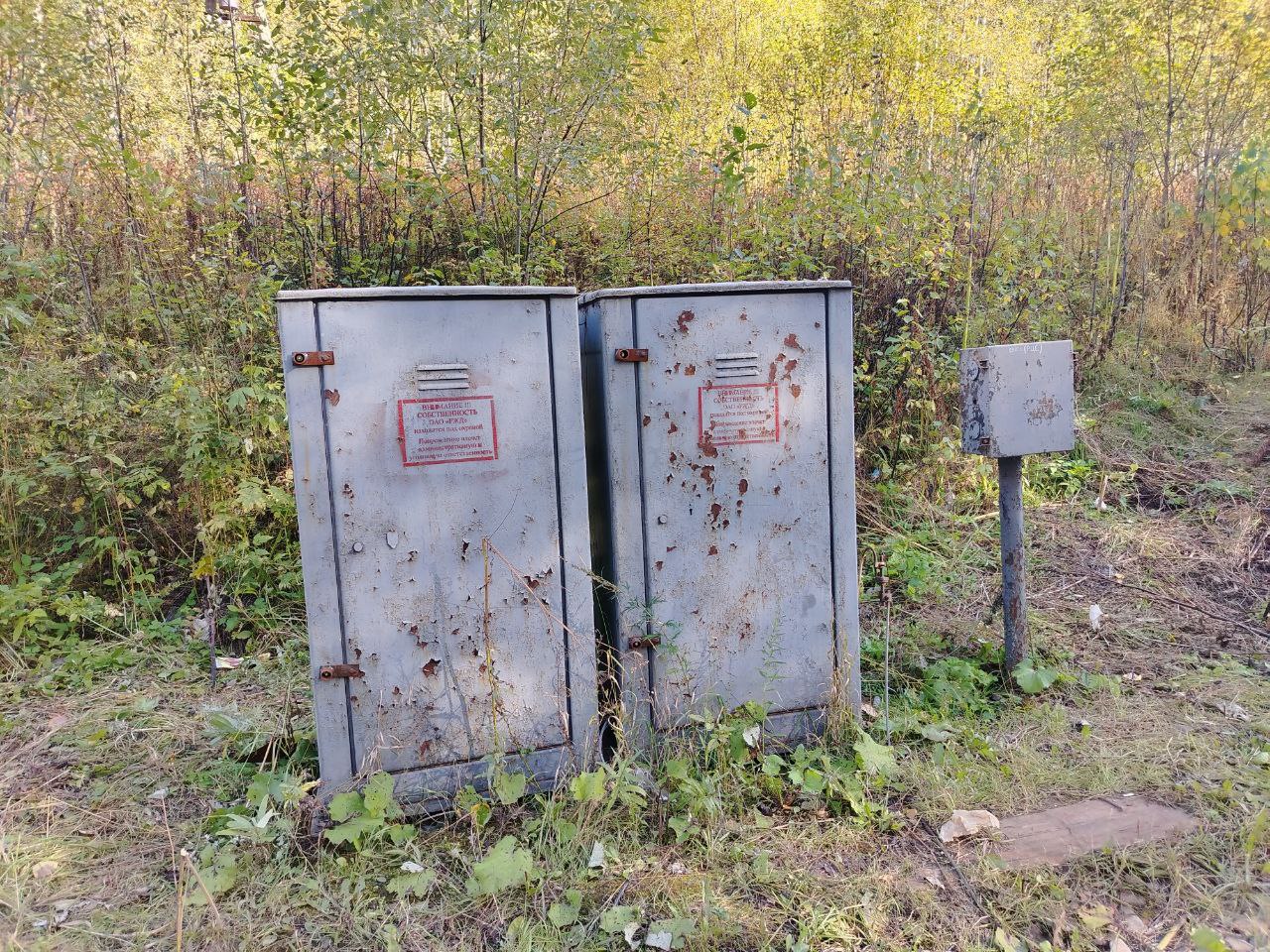 Фото: В курсе.ру