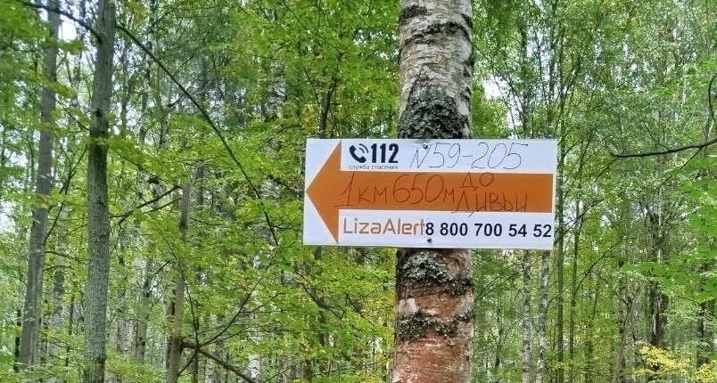 Фото: ЛизаАлерт/VK