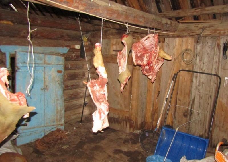 Фото: ГУ МВД России по Пермскому краю