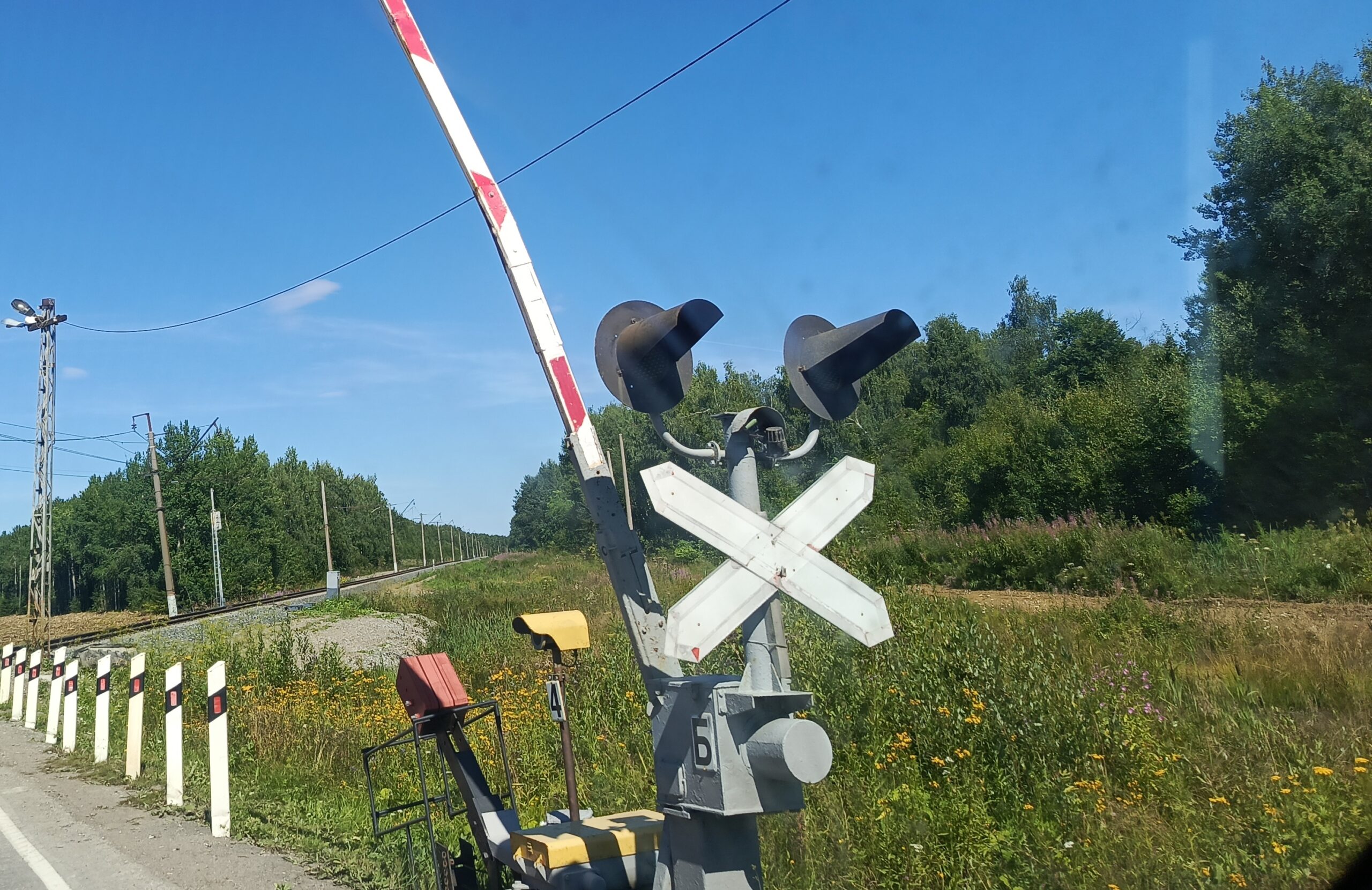 Фото: В курсе.ру