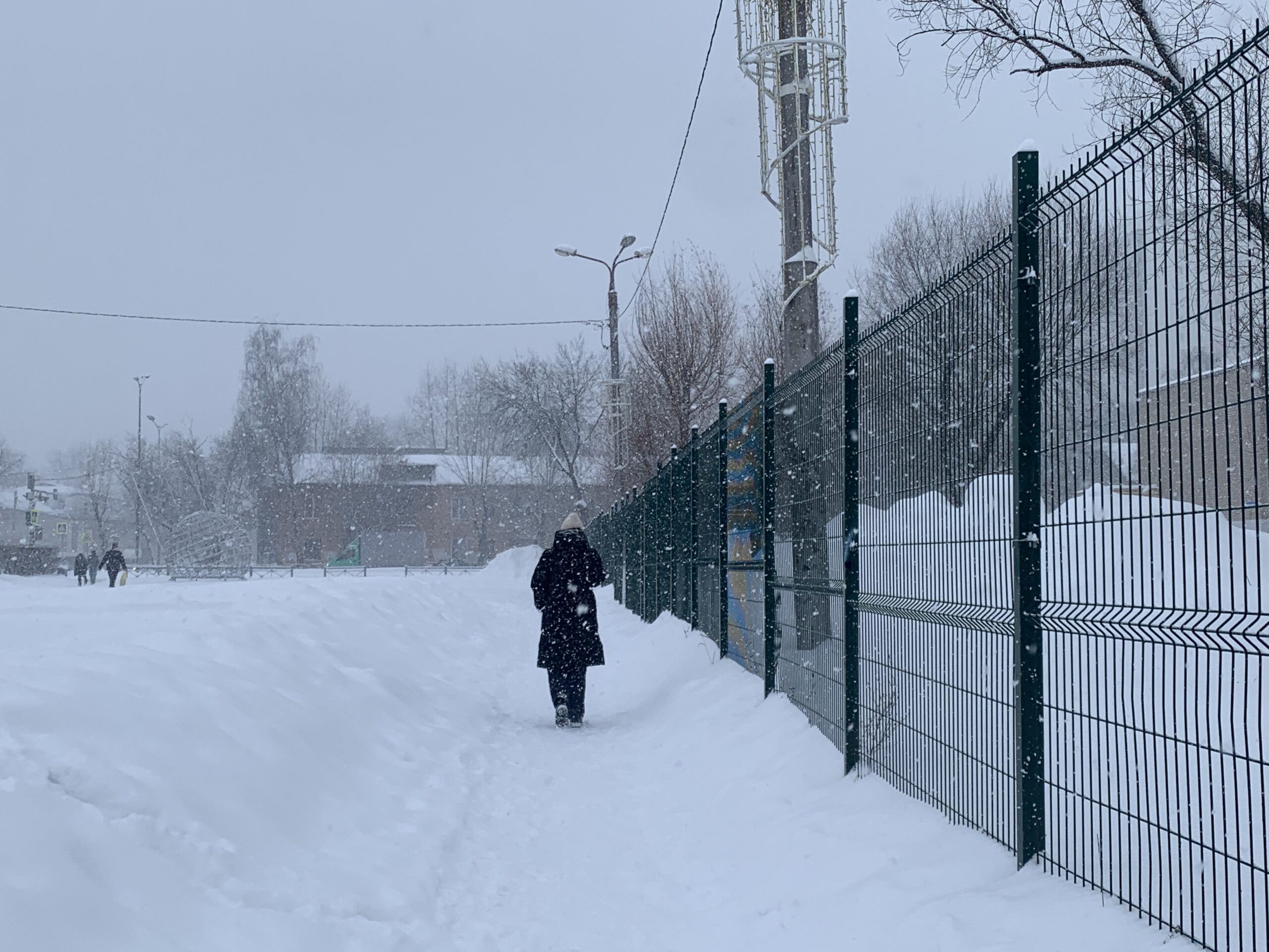 Фото: v-kurse.ru