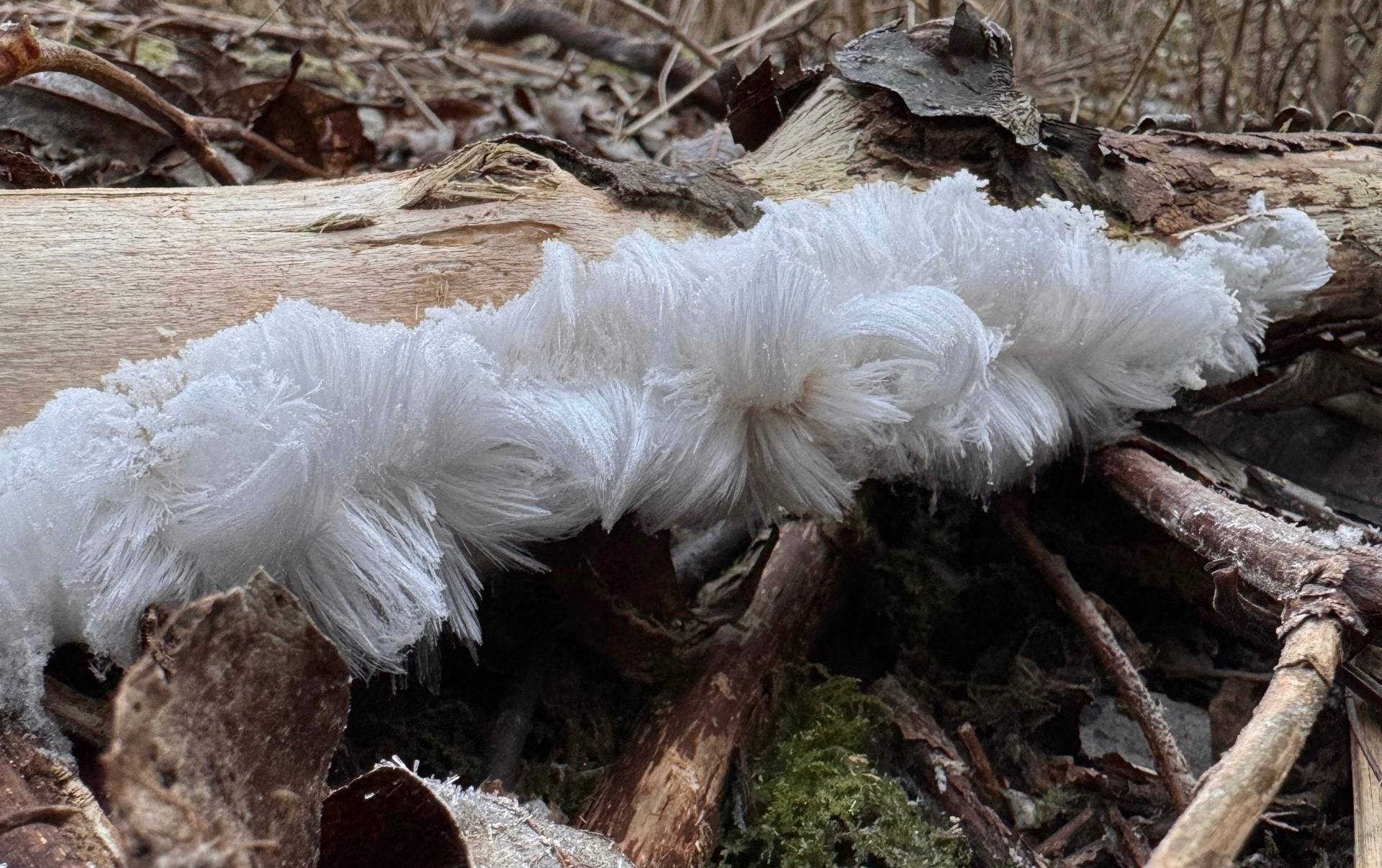 Фото: Екатерина Никитина