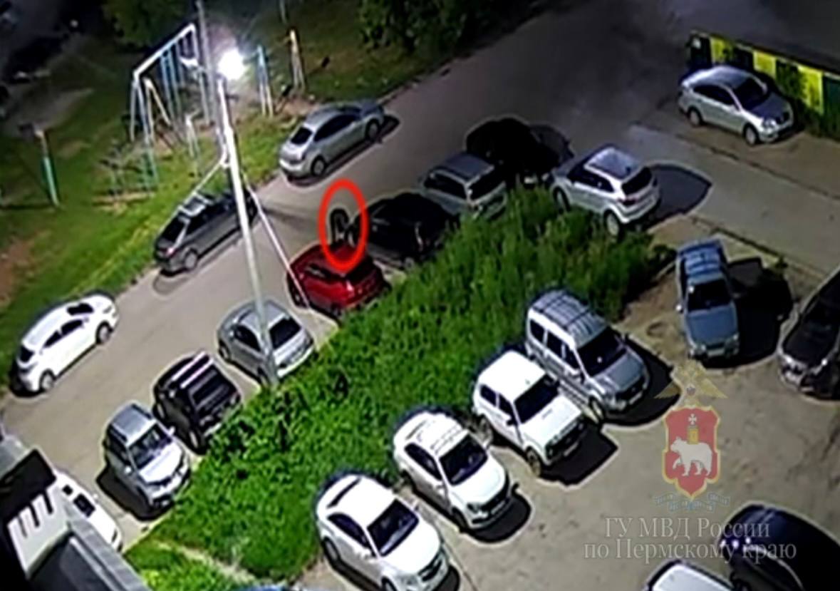 Фото: Полиция Прикамья / тг