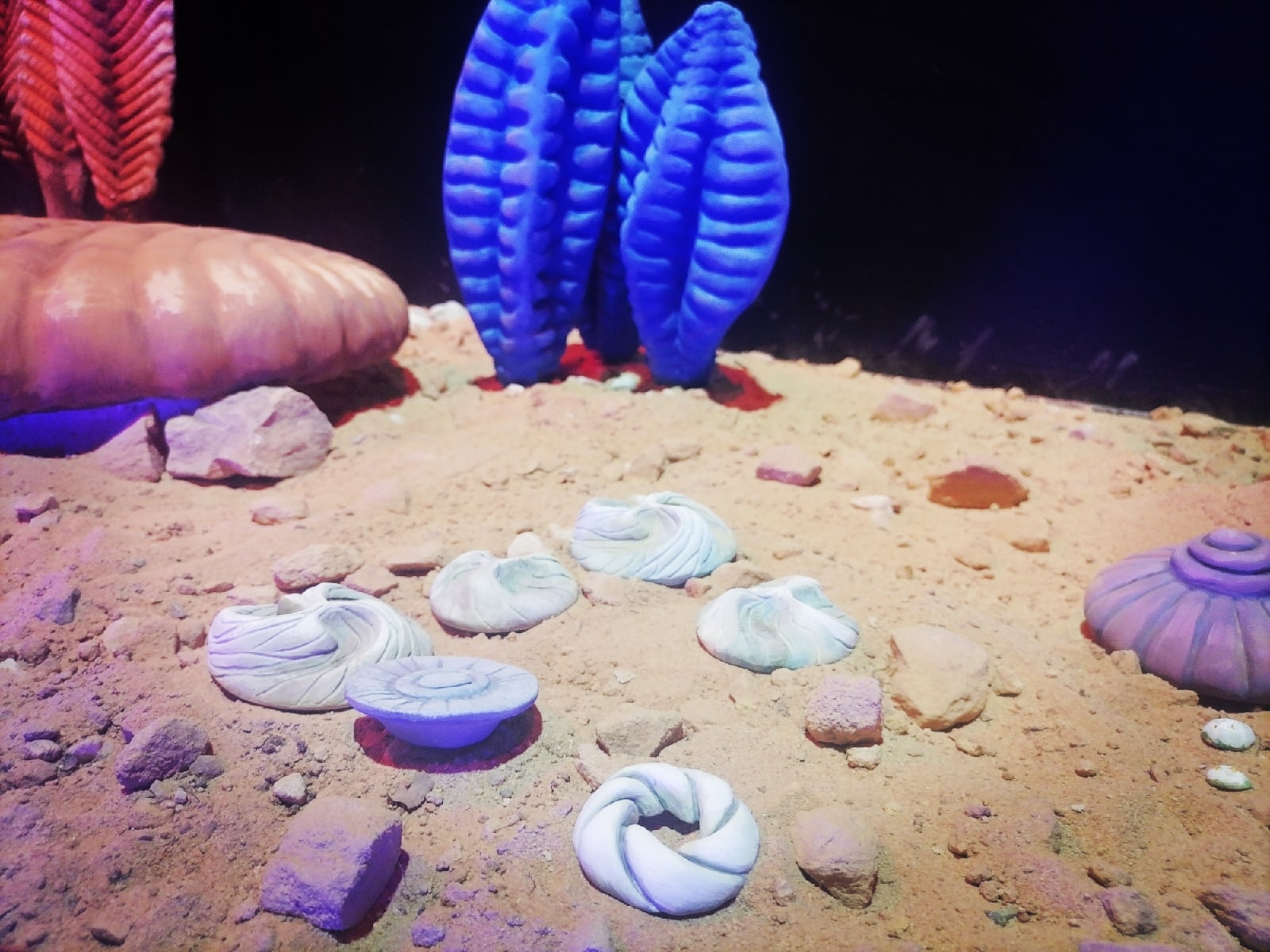 Фото: Ульяна Бажанова