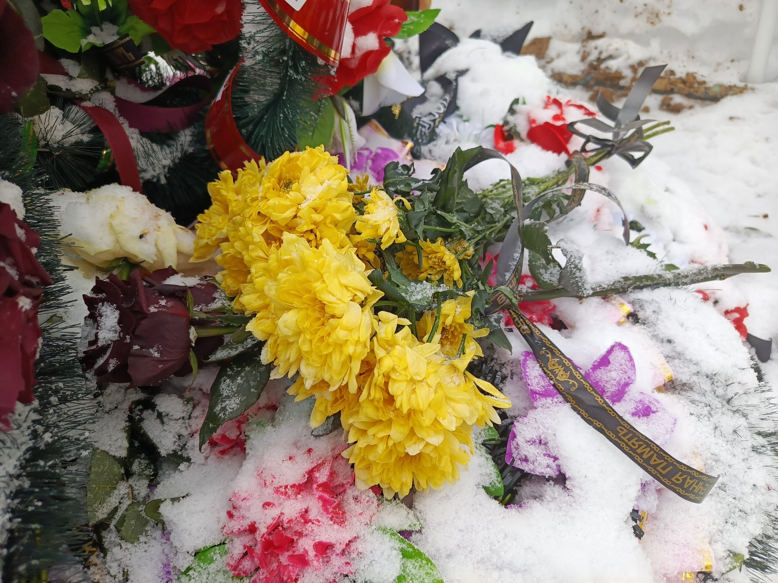 Фото: В курсе.ру