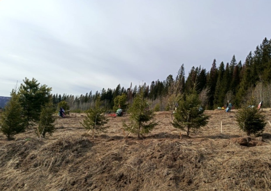 Фото: Пермский муниципальный округ / ТГ