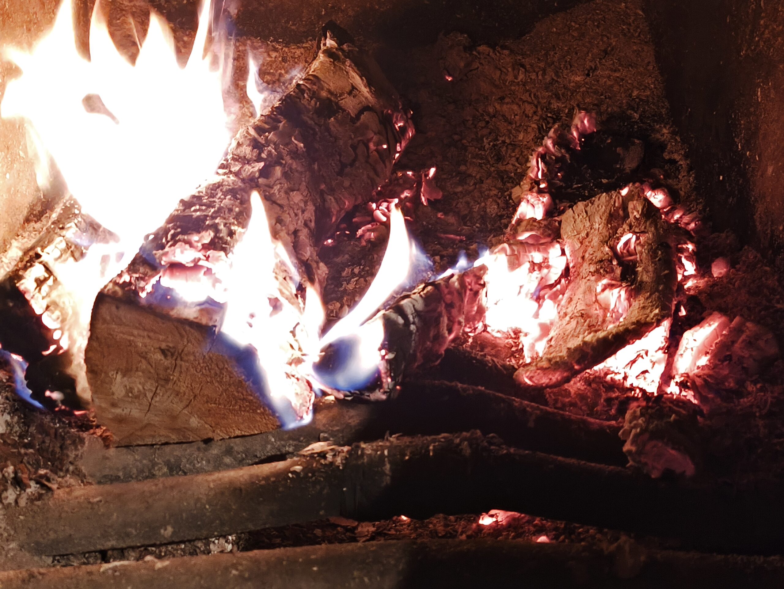 Фото: В курсе.ру