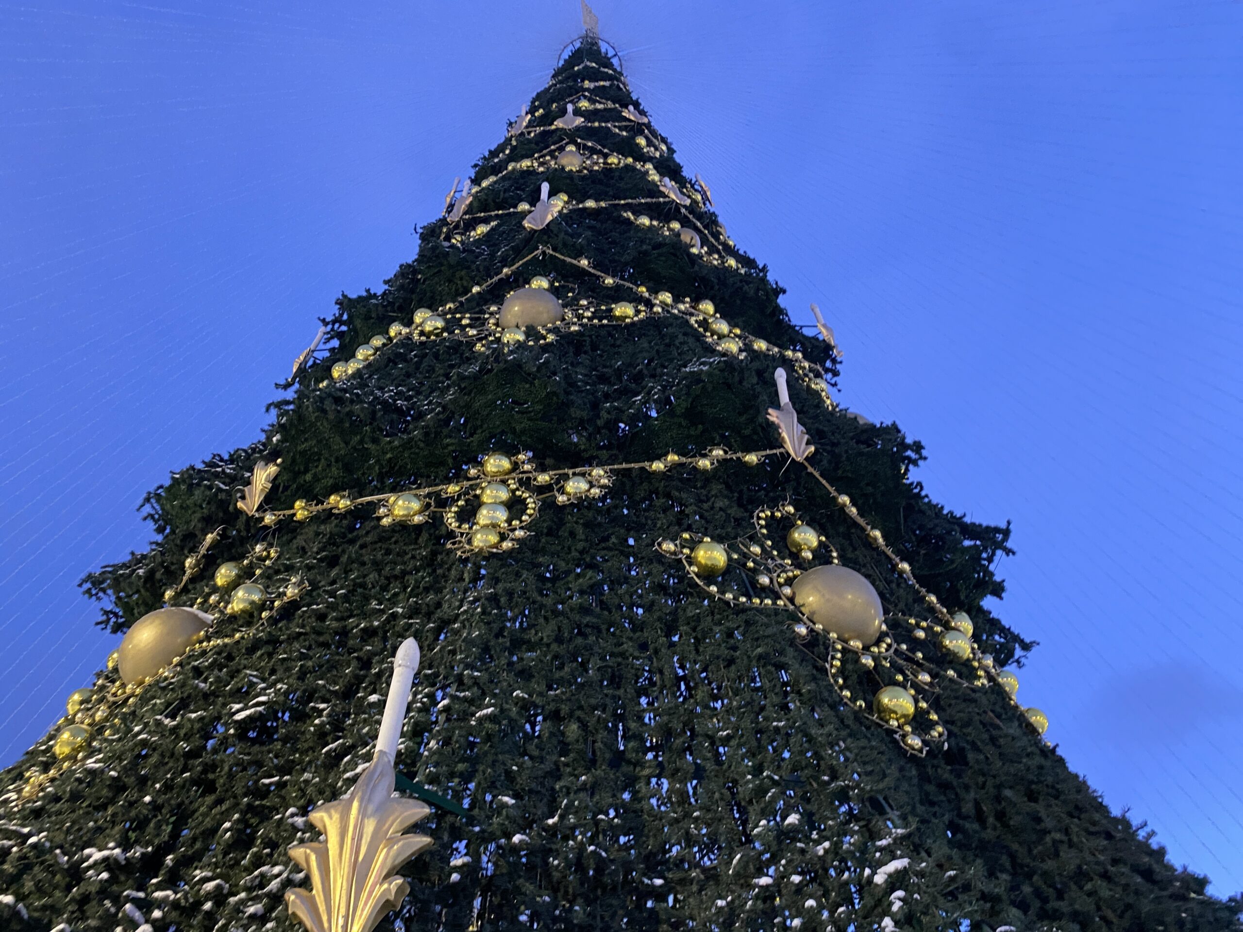 Фото: В курсе.ру 