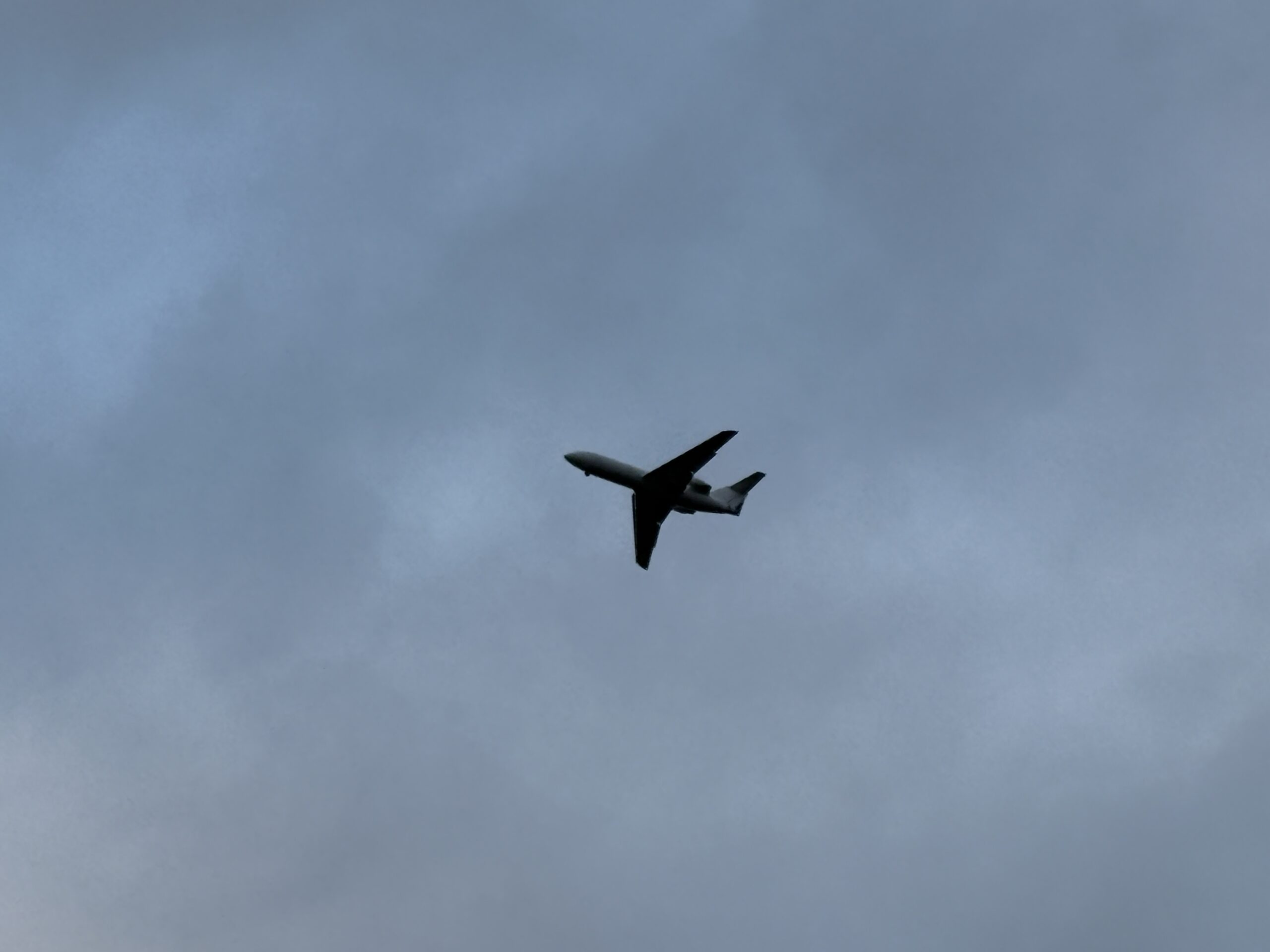 Фото: v-kurse.ru 