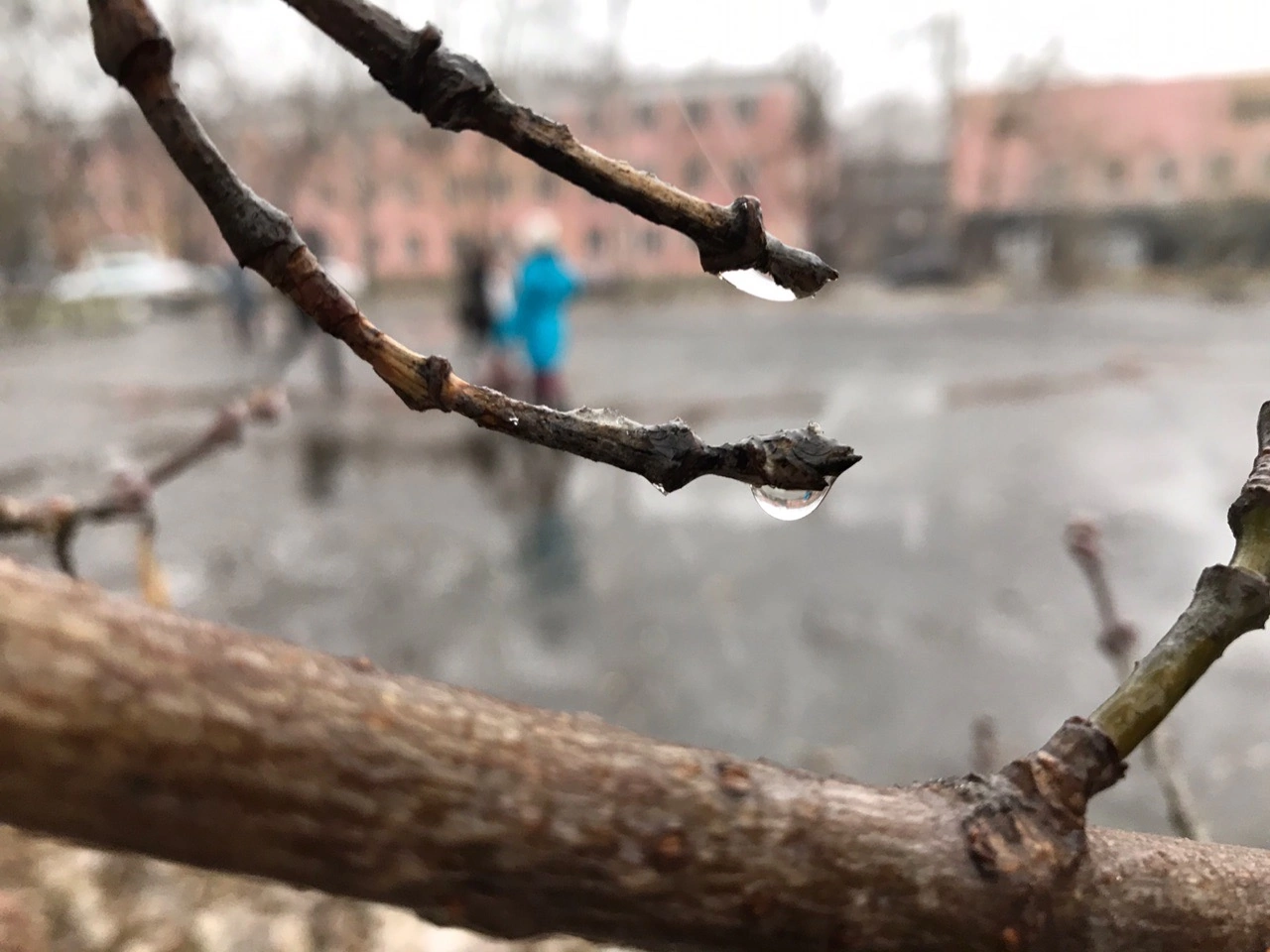 Фото: v-kurse.ru