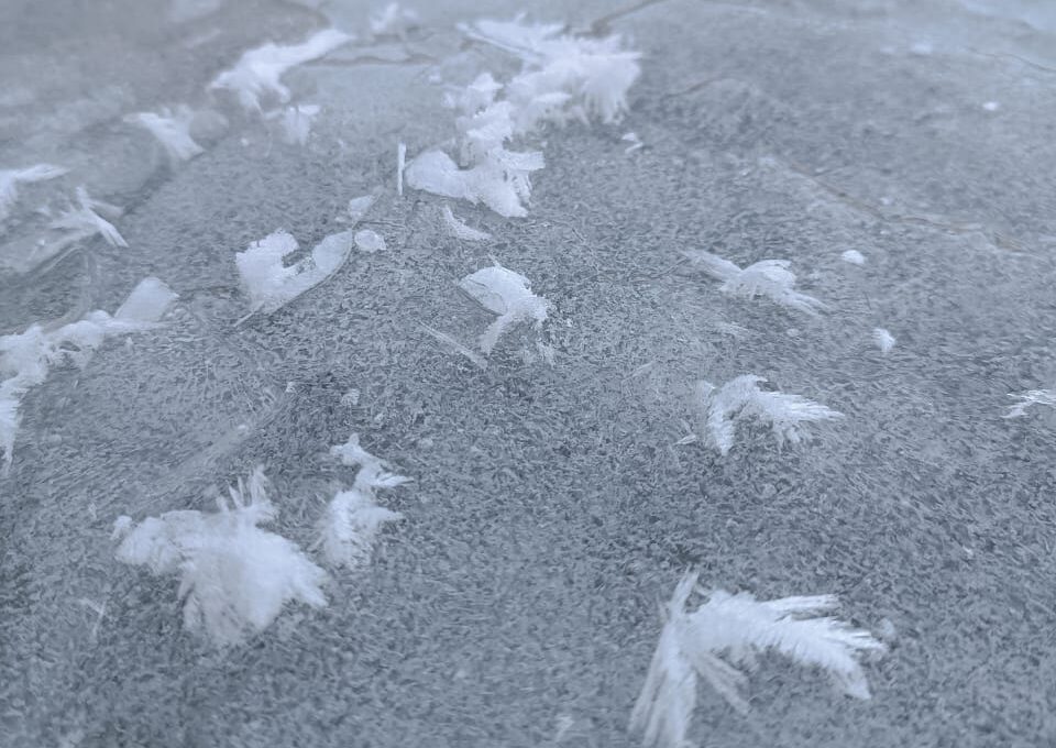 Фото: государственный инспектор в области охраны окружающей среды Чусовского участка природного парка «Пермский» Л.В. Каменских